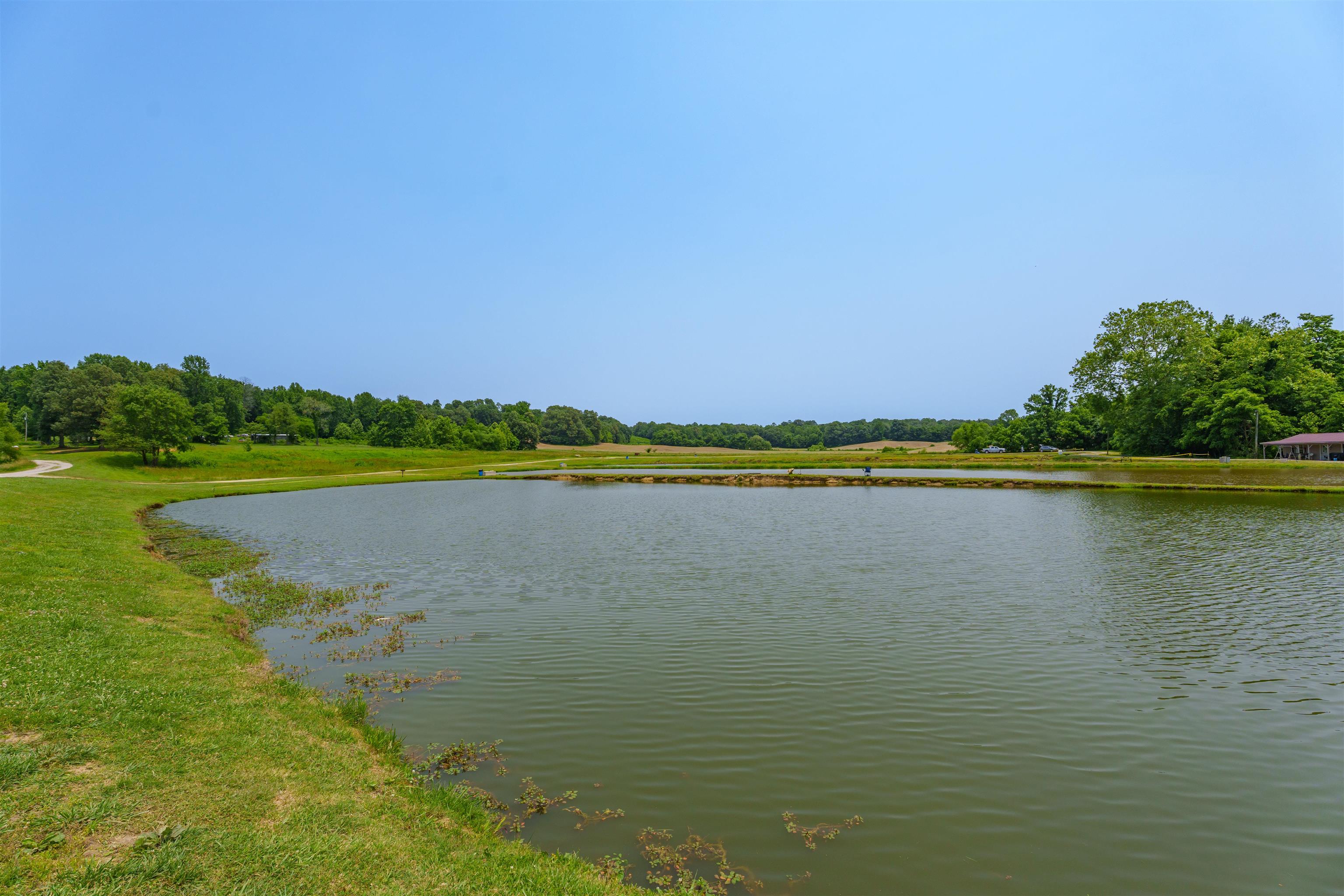 1400 Scotts Bridge Rd, Calhoun, Kentucky 42327, ,Business,For Sale,Scotts Bridge Rd,92261
