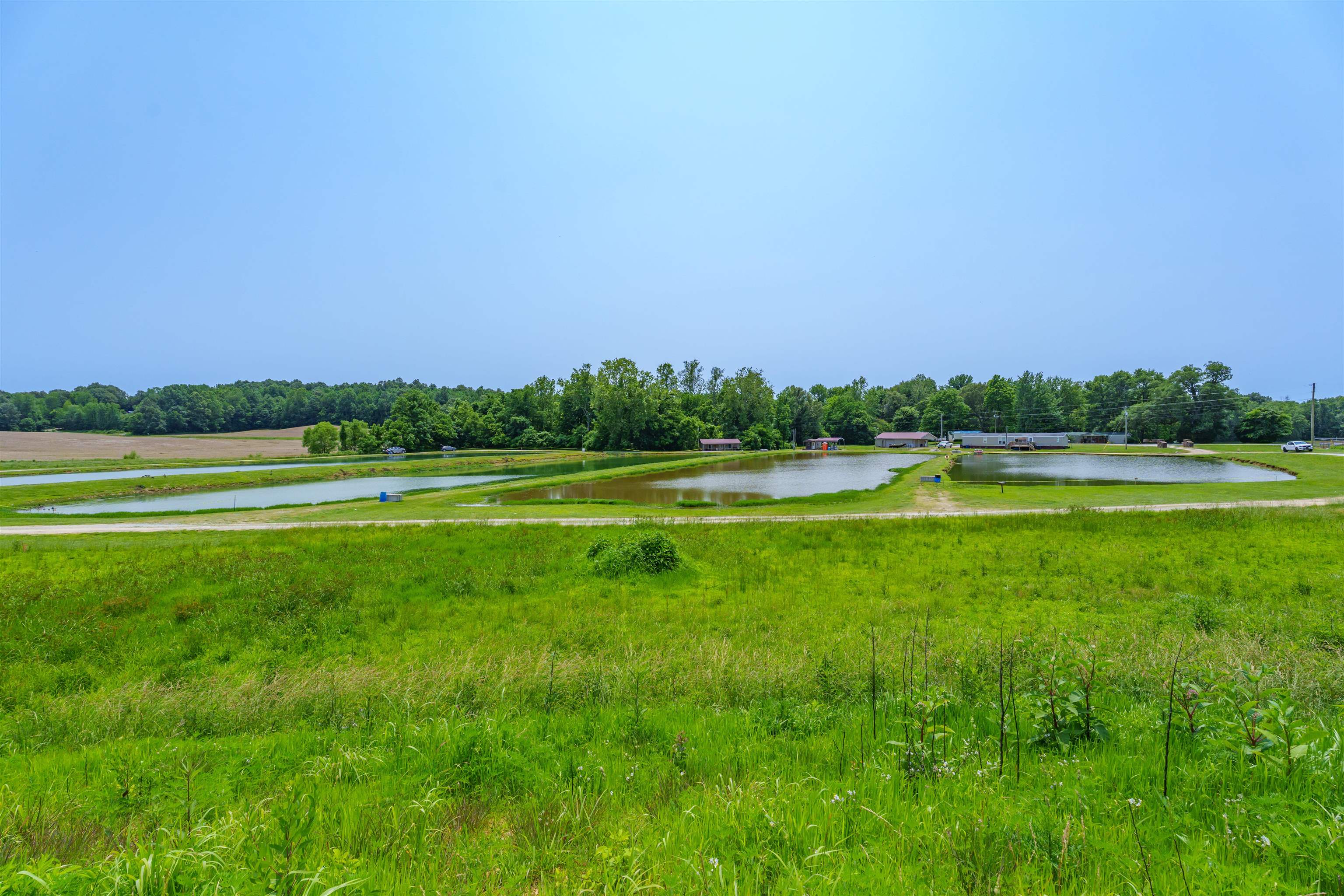 1400 Scotts Bridge Rd, Calhoun, Kentucky 42327, ,Business,For Sale,Scotts Bridge Rd,92261