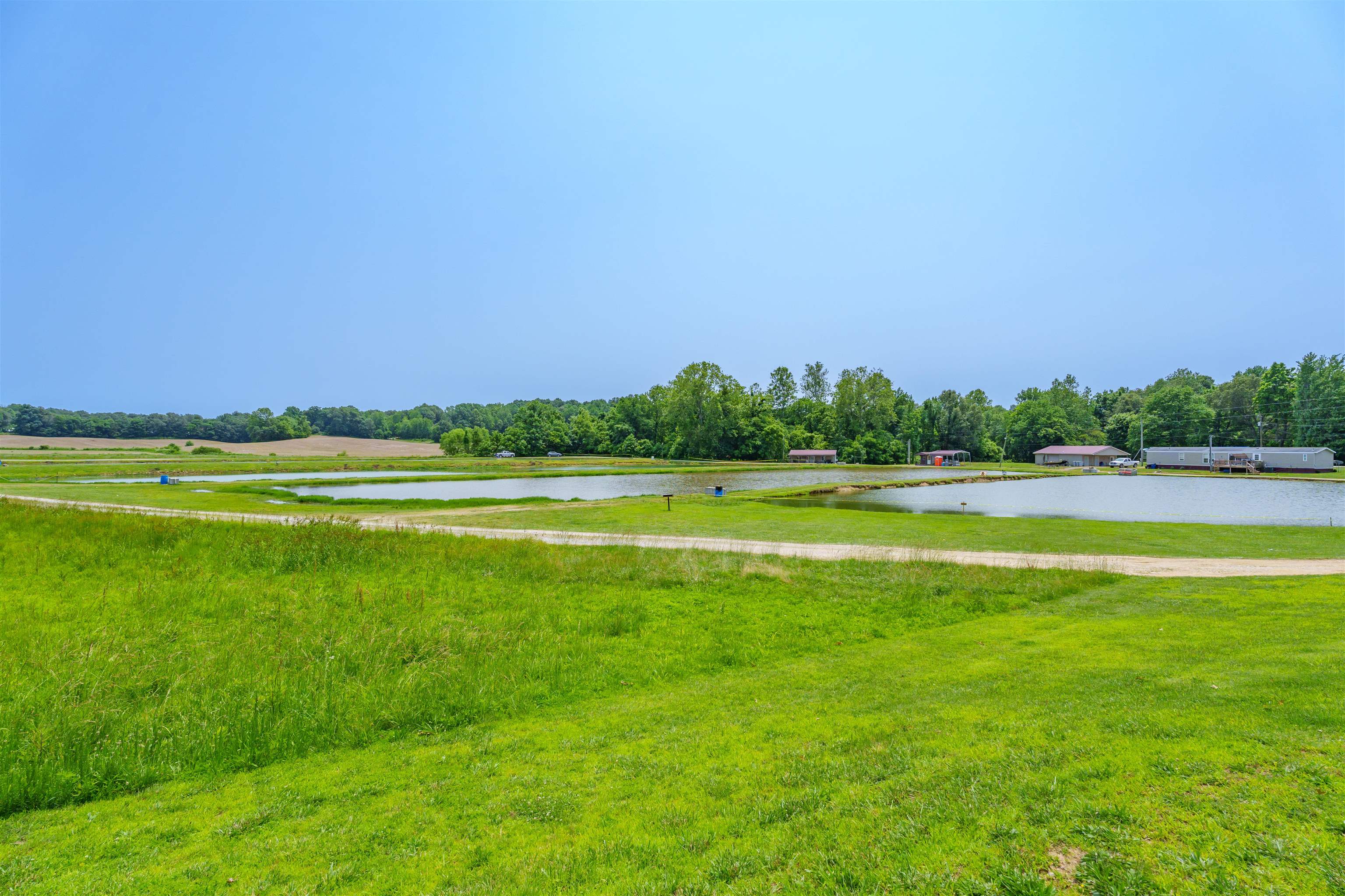 1400 Scotts Bridge Rd, Calhoun, Kentucky 42327, ,Business,For Sale,Scotts Bridge Rd,92261