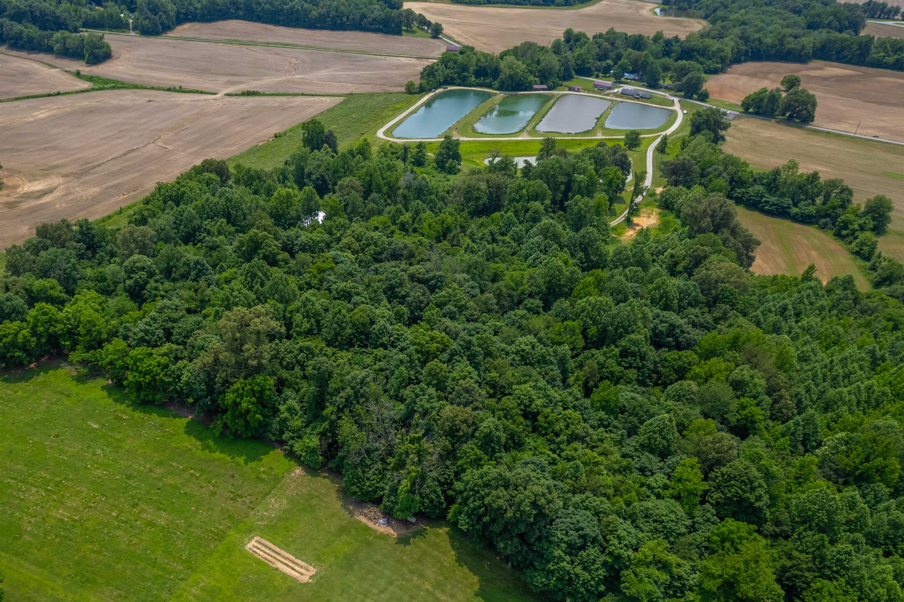 1400 Scotts Bridge Rd, Calhoun, Kentucky 42327, ,Business,For Sale,Scotts Bridge Rd,92261