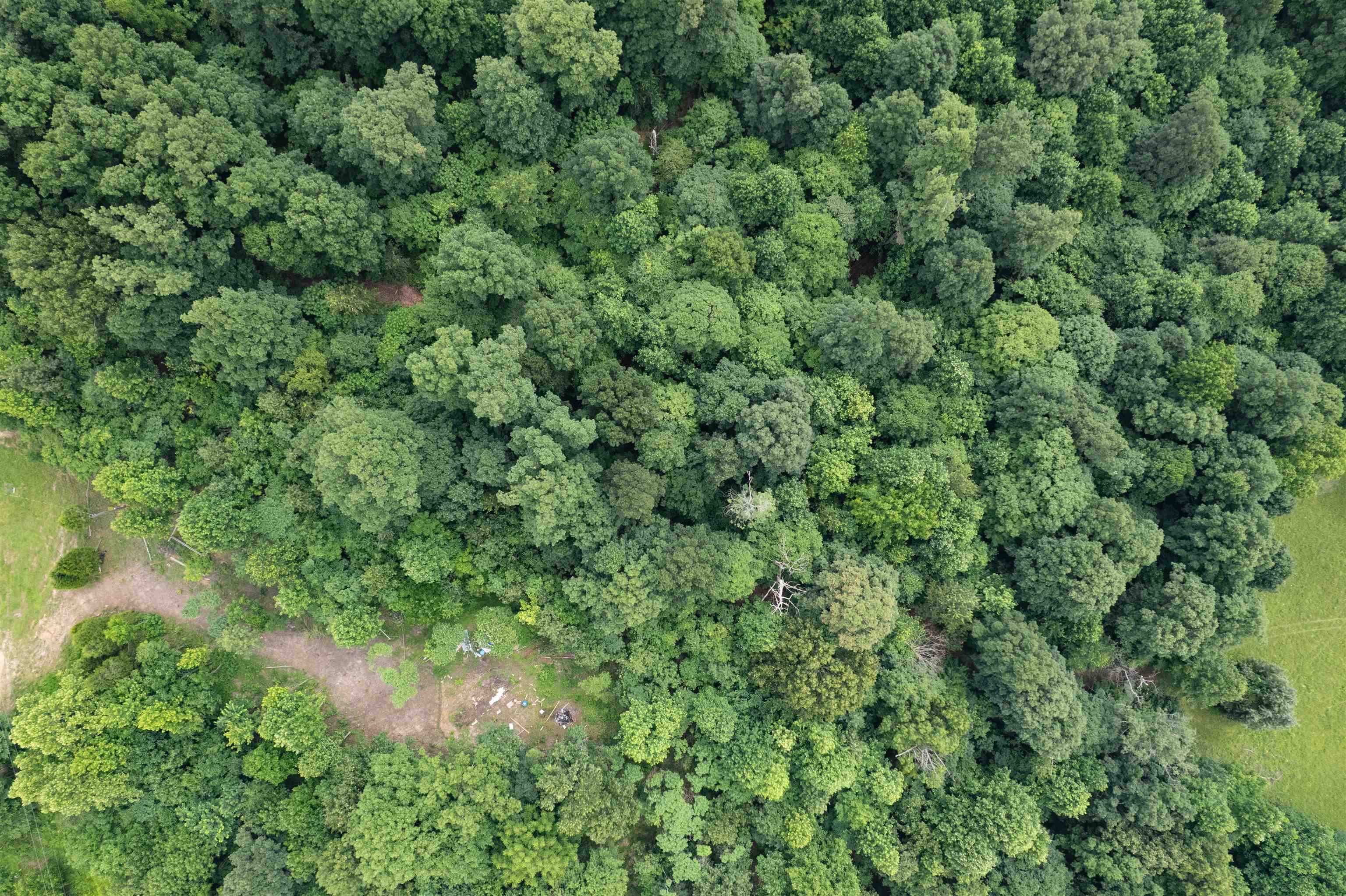 444 Water Tower Ln, Hartford, Kentucky 42347, ,Land,For Sale,Water Tower Ln,92358