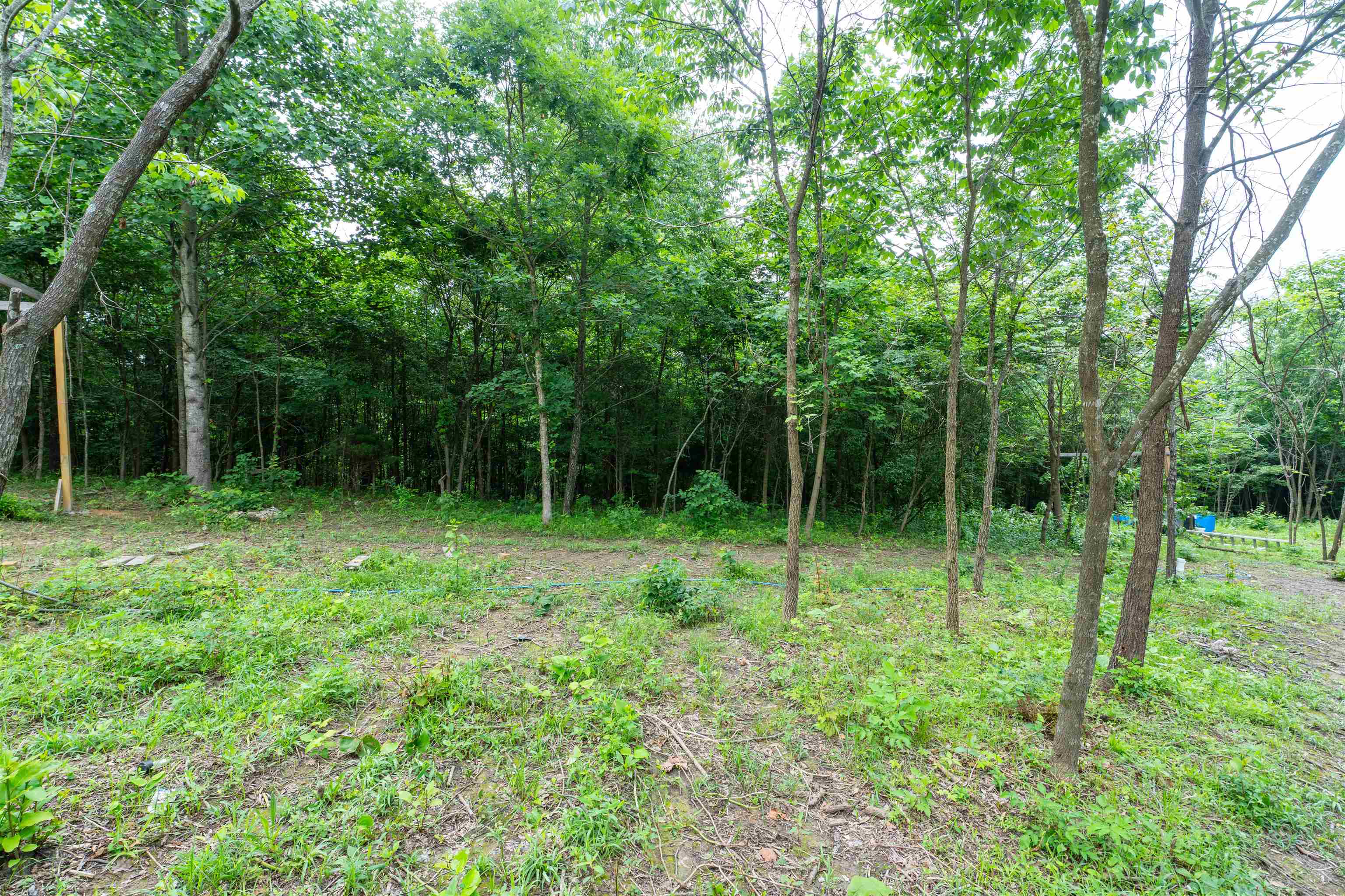 444 Water Tower Ln, Hartford, Kentucky 42347, ,Land,For Sale,Water Tower Ln,92358