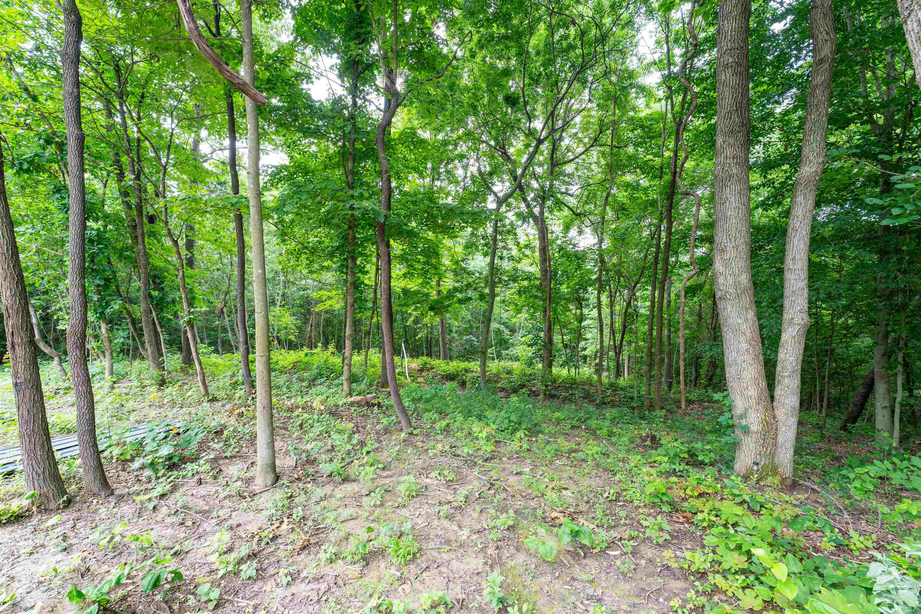 444 Water Tower Ln, Hartford, Kentucky 42347, ,Land,For Sale,Water Tower Ln,92358
