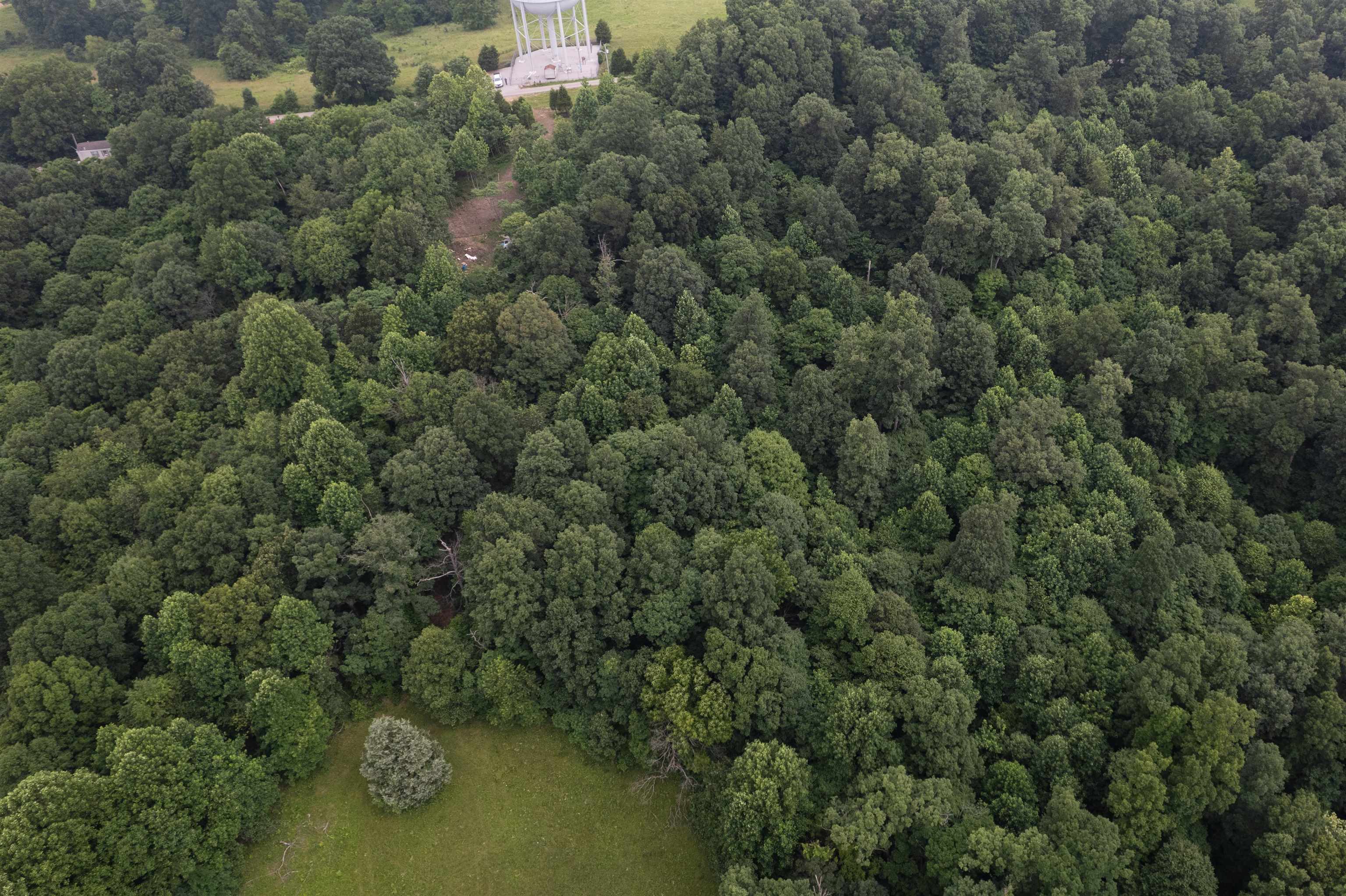 444 Water Tower Ln, Hartford, Kentucky 42347, ,Land,For Sale,Water Tower Ln,92358