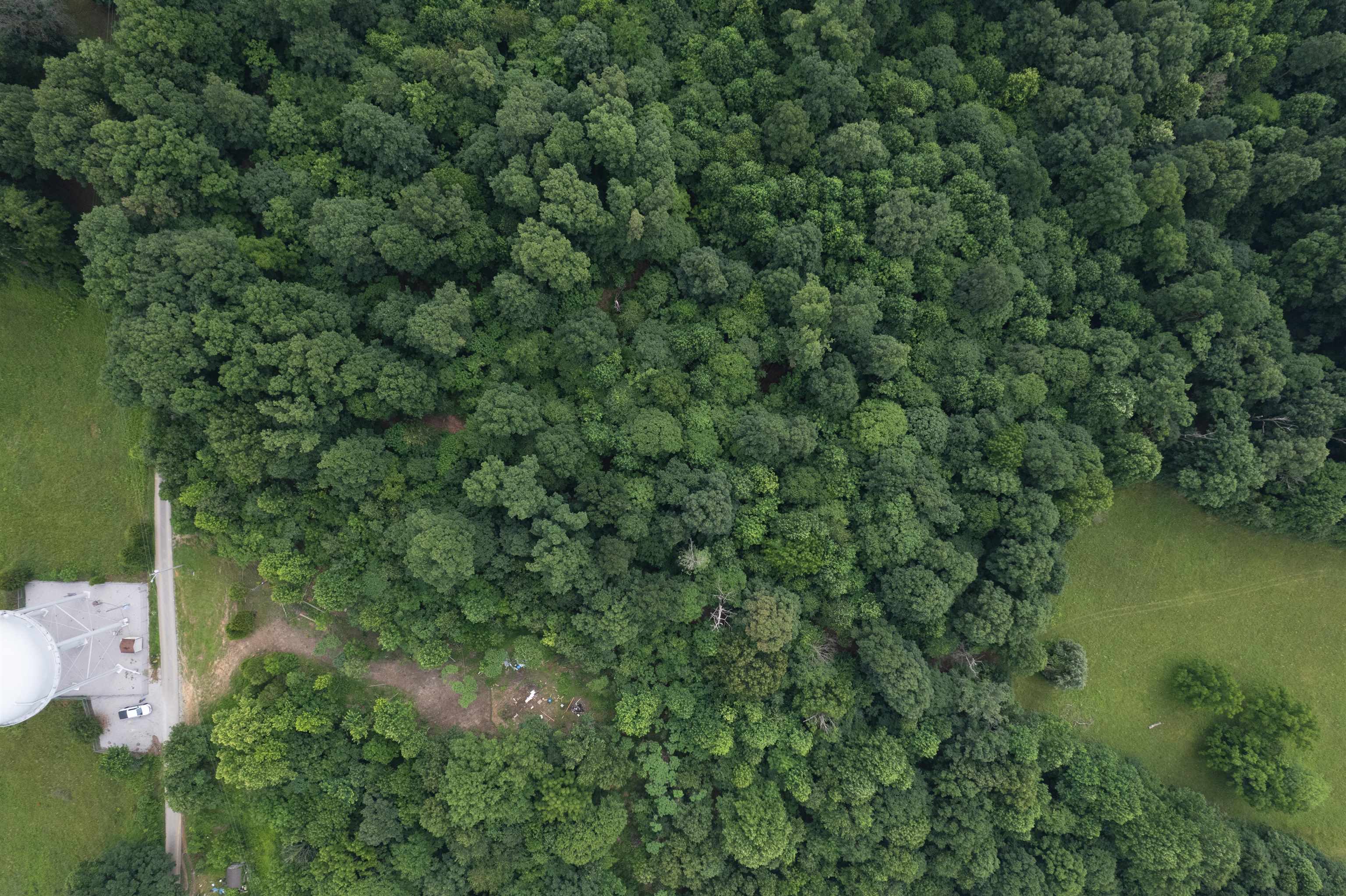 444 Water Tower Ln, Hartford, Kentucky 42347, ,Land,For Sale,Water Tower Ln,92358