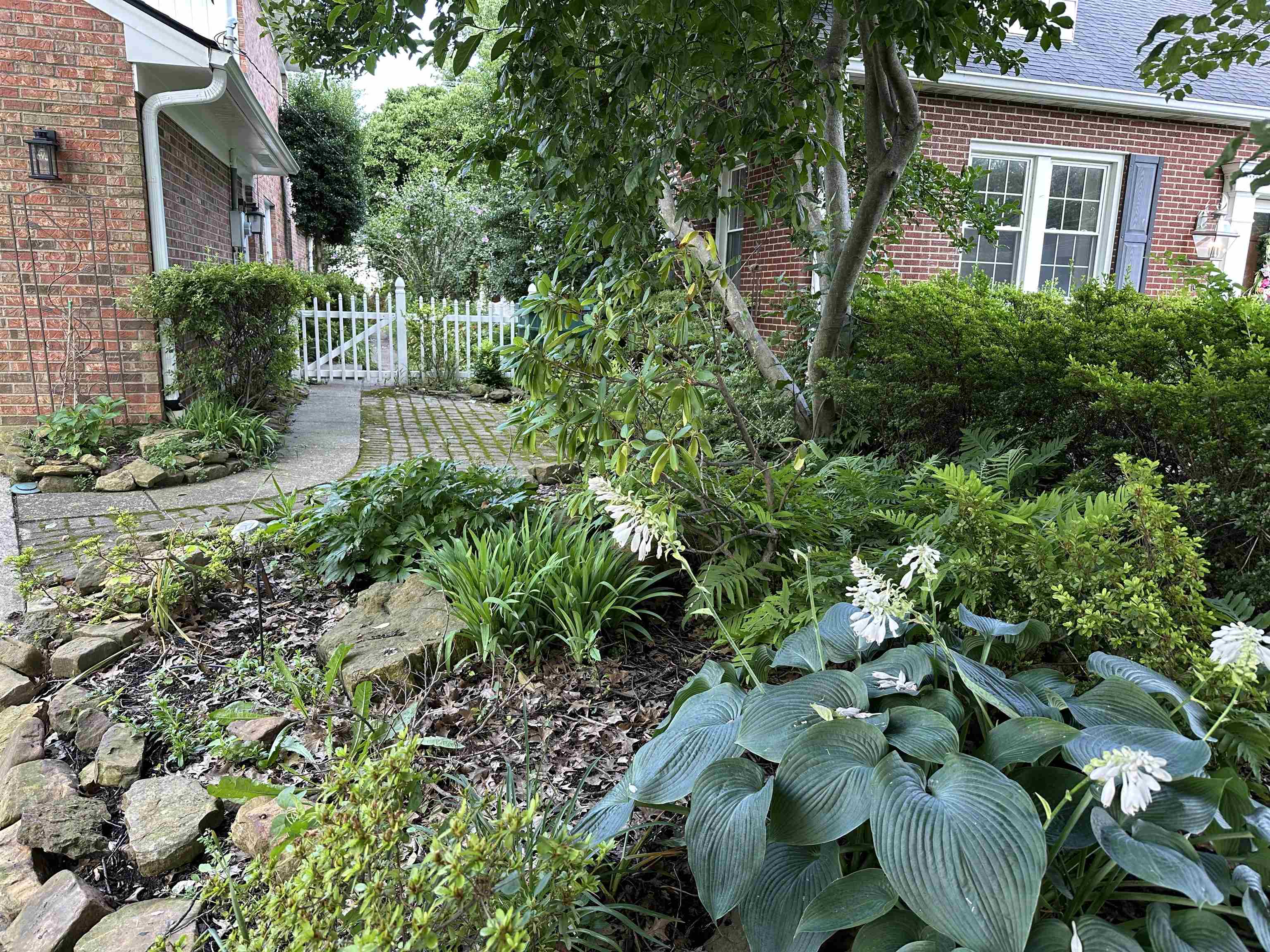 2025 Littlewood Dr, Owensboro, Kentucky 42301, 3 Bedrooms Bedrooms, ,2 BathroomsBathrooms,Single Family Residence,For Sale,Littlewood Dr,92424