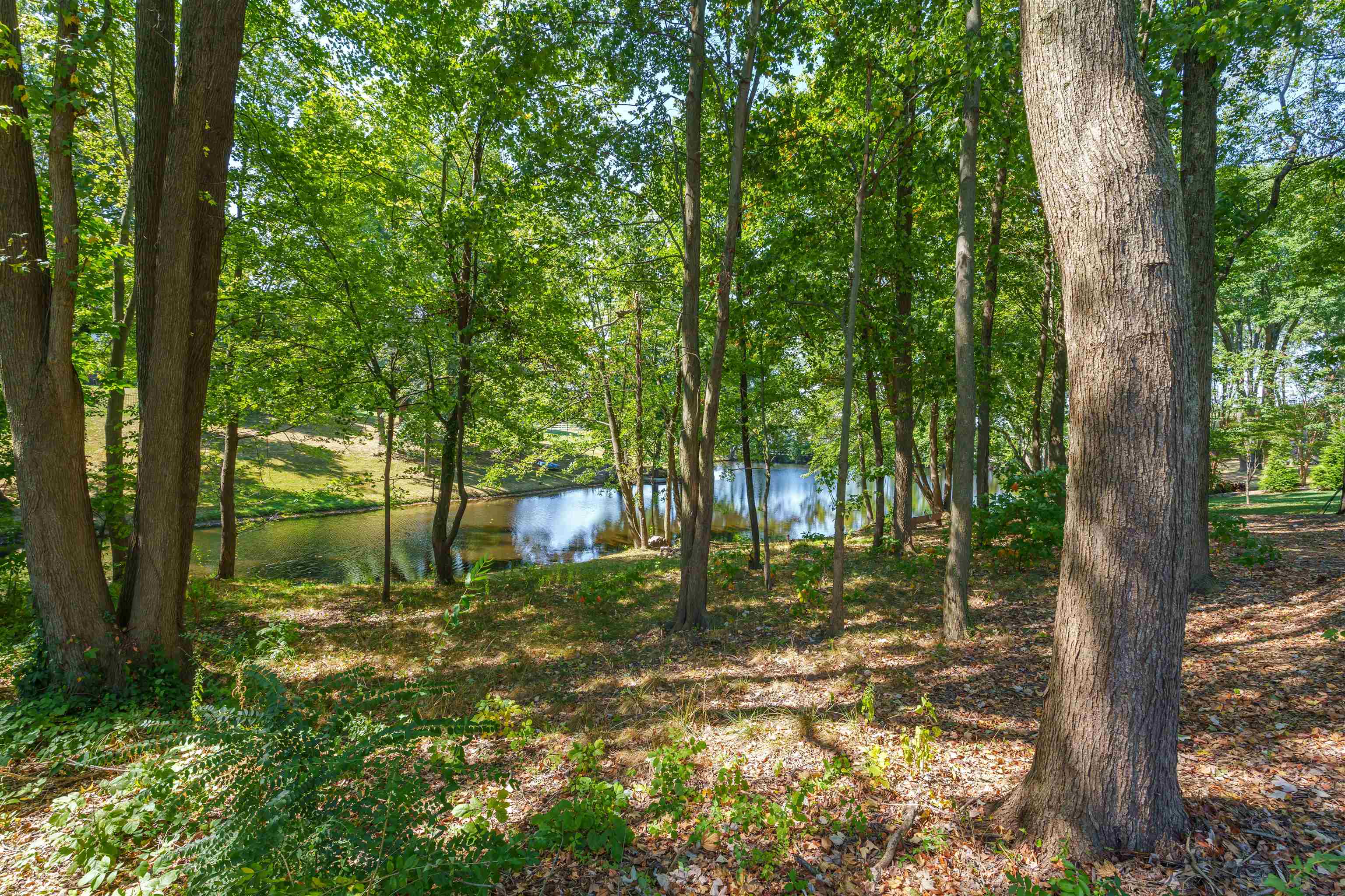 3682 Briarcliff Trace, Owensboro, Kentucky 42303, 5 Bedrooms Bedrooms, ,4 BathroomsBathrooms,Single Family Residence,For Sale,Briarcliff Trace,92449
