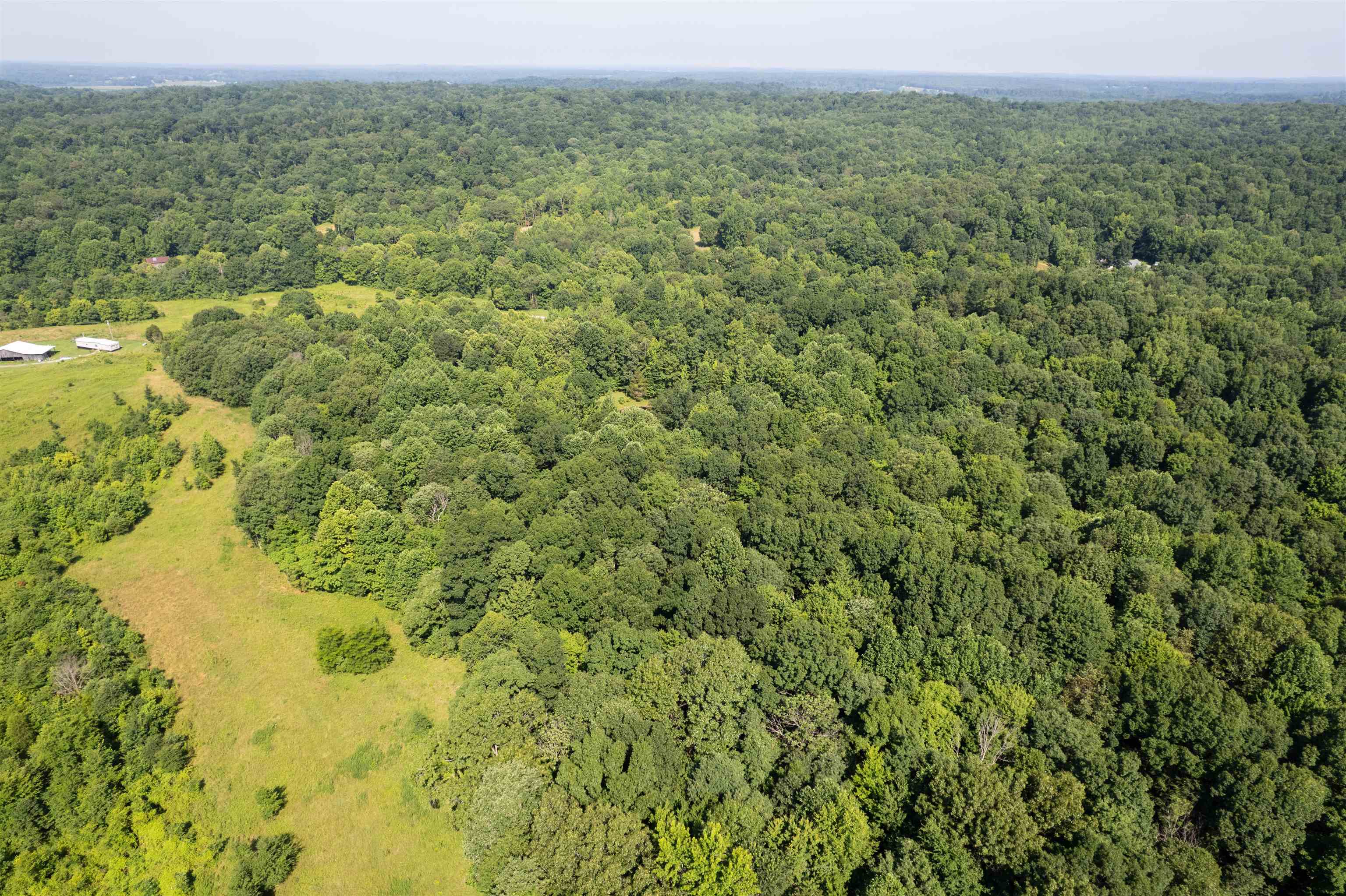 238 County Line Rd, Fordsville, Kentucky 42343, 5 Bedrooms Bedrooms, ,3 BathroomsBathrooms,Single Family Residence,For Sale,County Line Rd,92459