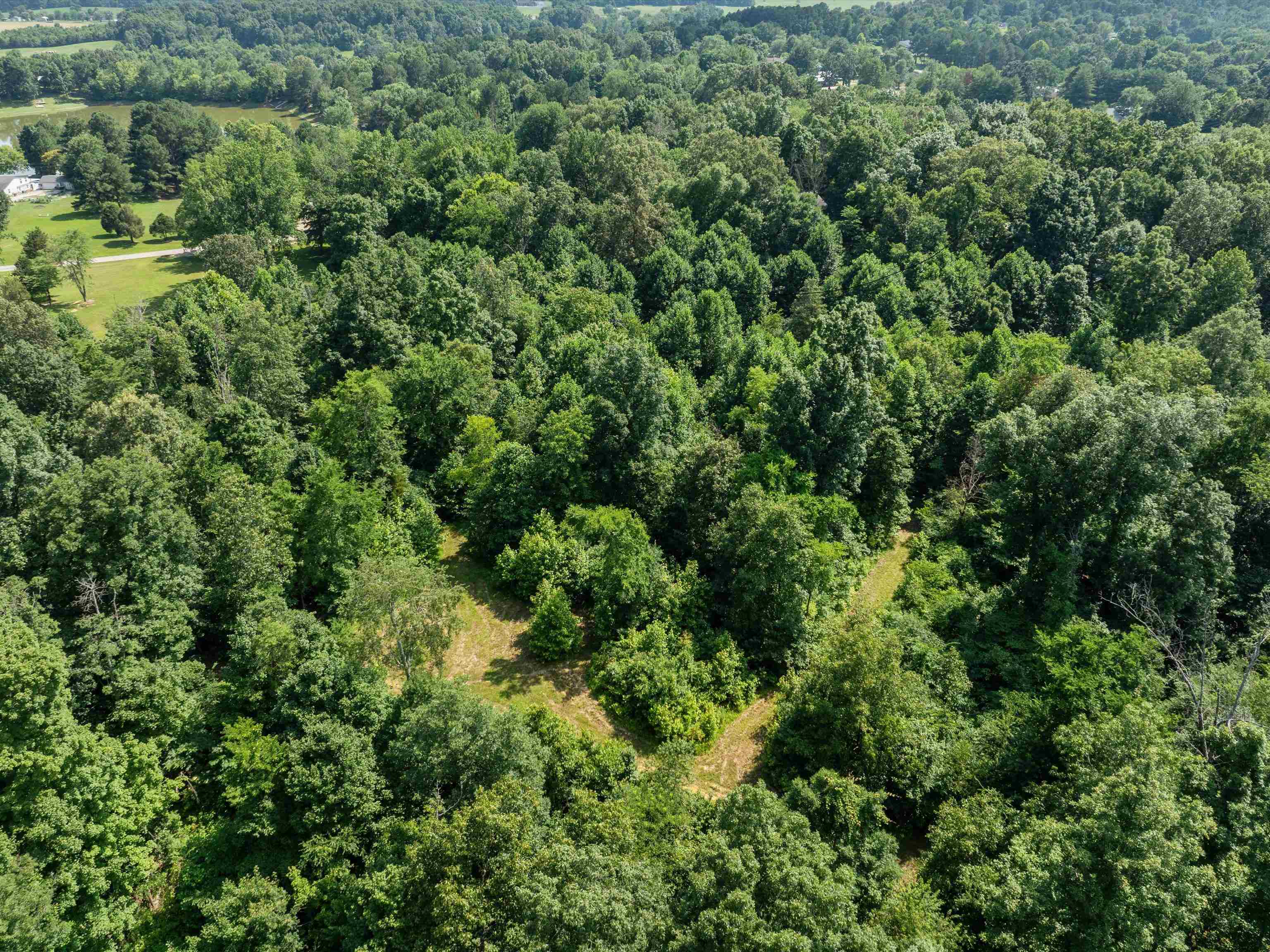 000 Maple Leaf Lake Lane, Utica, Kentucky 42376, ,Land,For Sale,Maple Leaf Lake Lane,92476