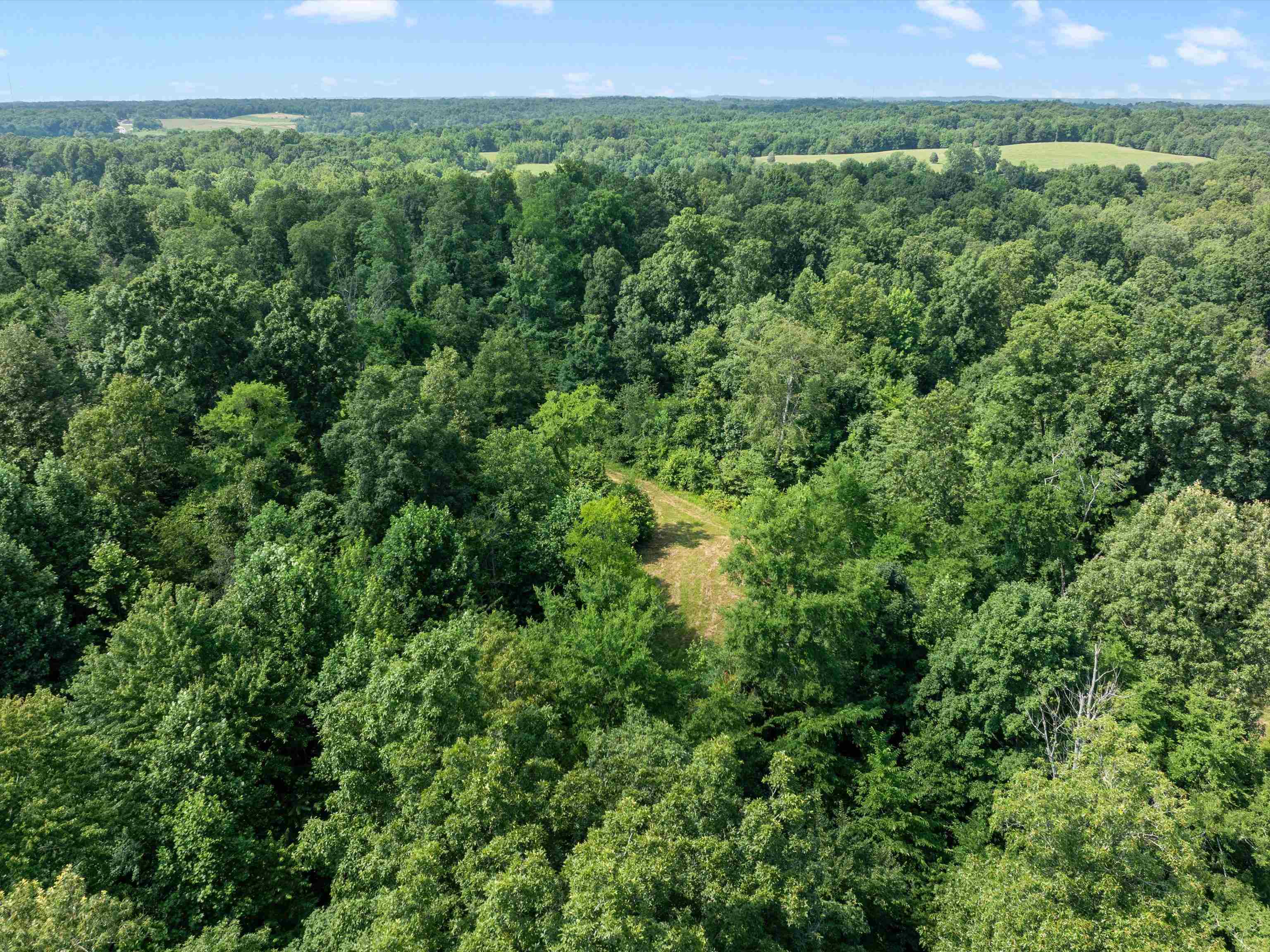000 Maple Leaf Lake Lane, Utica, Kentucky 42376, ,Land,For Sale,Maple Leaf Lake Lane,92476