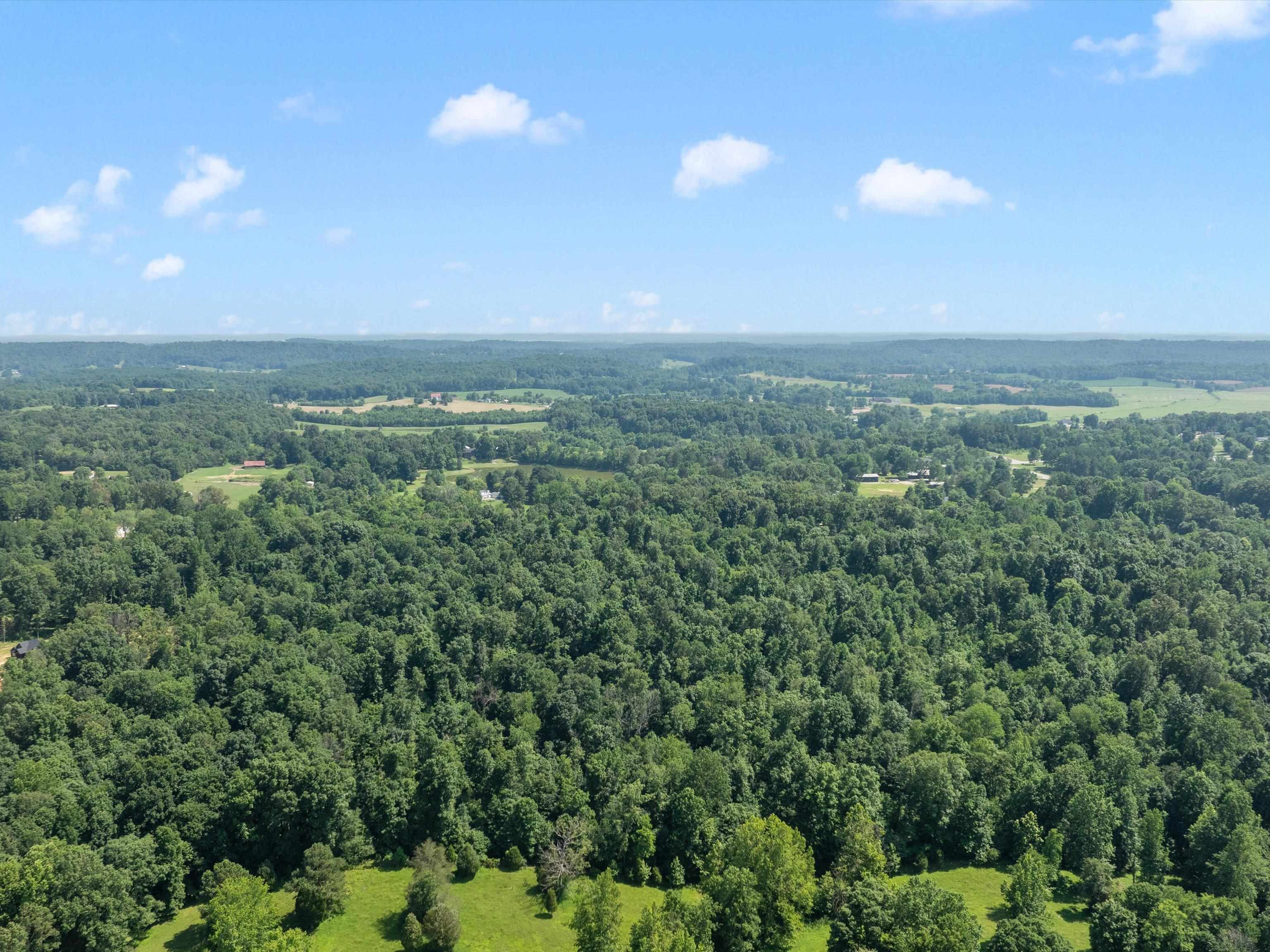 000 Maple Leaf Lake Lane, Utica, Kentucky 42376, ,Land,For Sale,Maple Leaf Lake Lane,92476