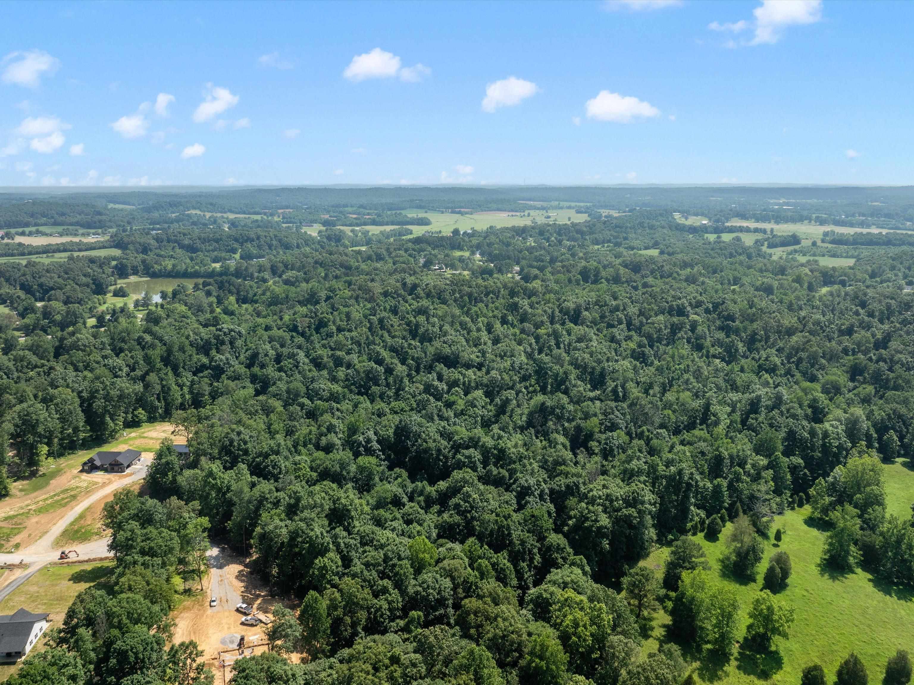 000 Maple Leaf Lake Lane, Utica, Kentucky 42376, ,Land,For Sale,Maple Leaf Lake Lane,92476