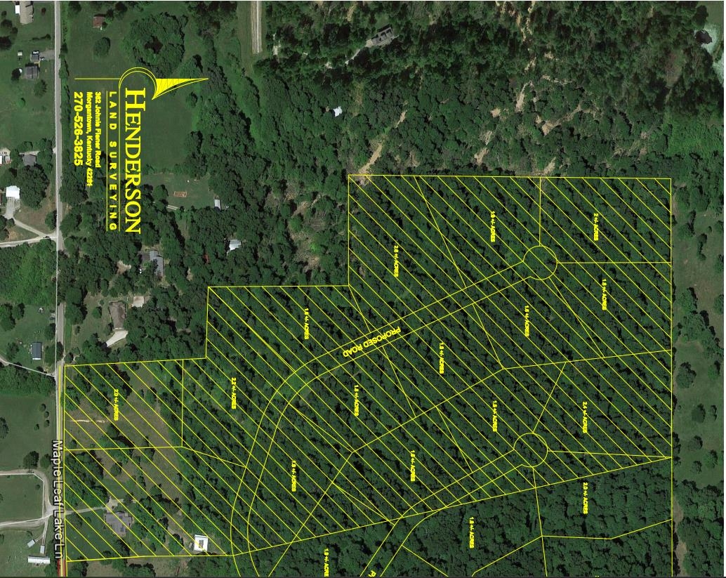 000 Maple Leaf Lake Lane, Utica, Kentucky 42376, ,Land,For Sale,Maple Leaf Lake Lane,92476