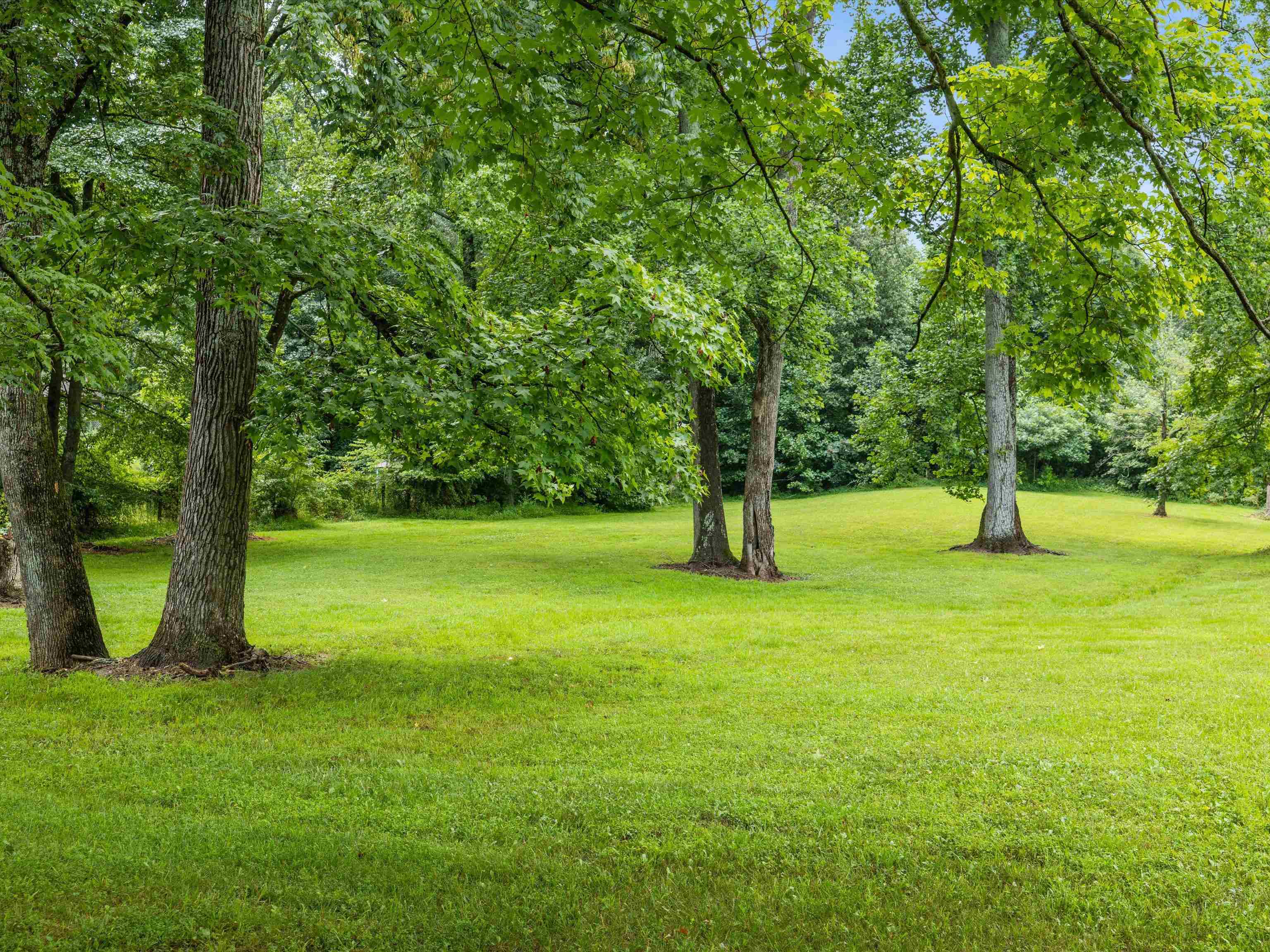 000 Maple Leaf Lake Lane, Utica, Kentucky 42376, ,Land,For Sale,Maple Leaf Lake Lane,92476