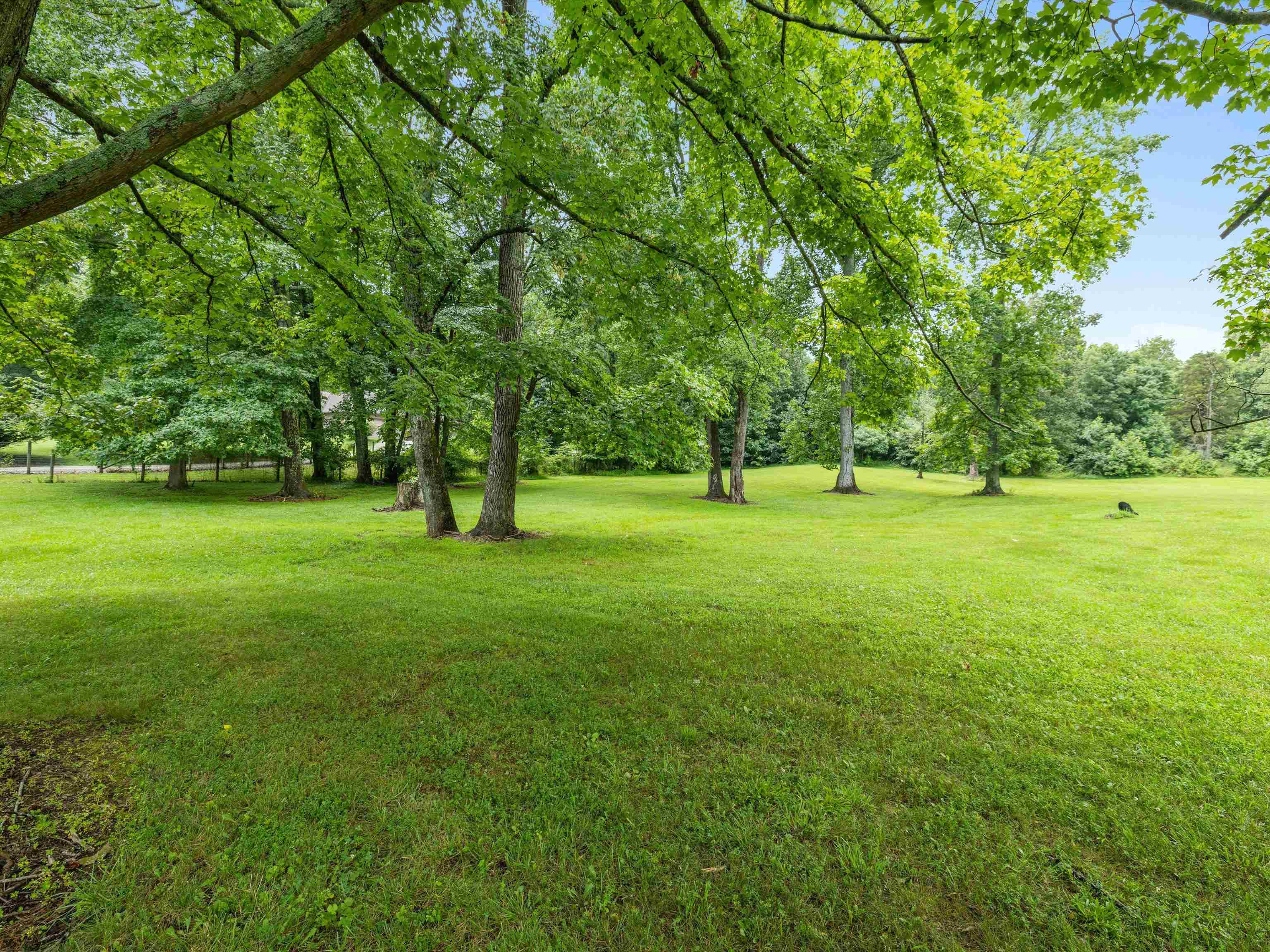 000 Maple Leaf Lake Lane, Utica, Kentucky 42376, ,Land,For Sale,Maple Leaf Lake Lane,92476