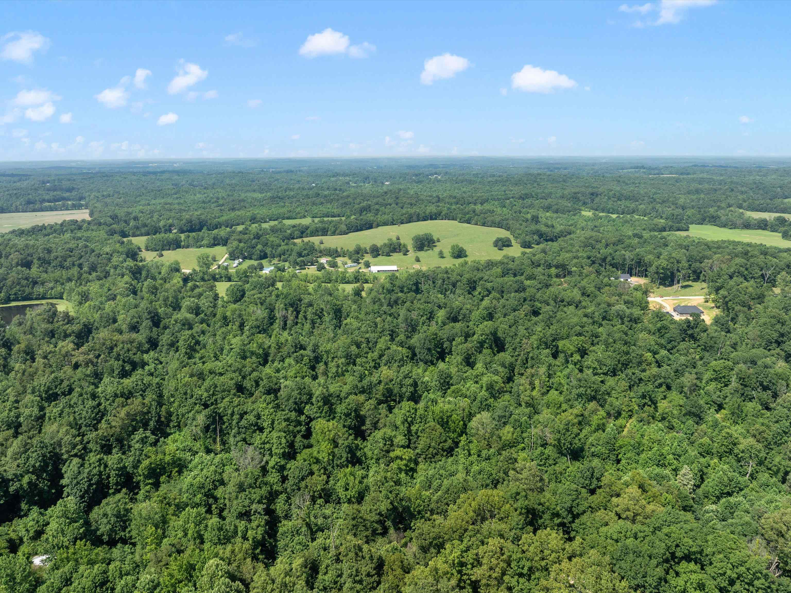 000 Maple Leaf Lake Lane, Utica, Kentucky 42376, ,Land,For Sale,Maple Leaf Lake Lane,92476