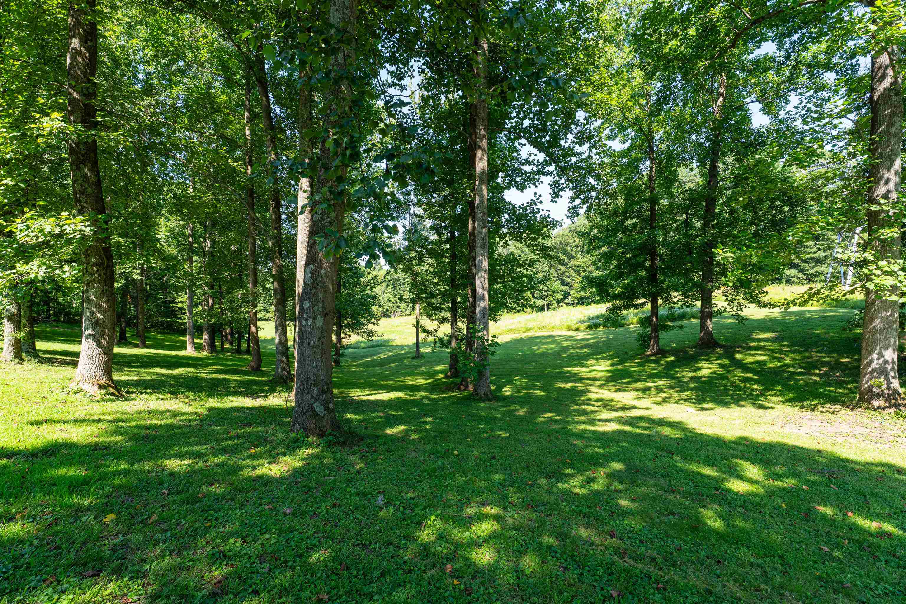 720 Gene Hayden Rd, Lewisport, Kentucky 42351, 3 Bedrooms Bedrooms, ,2 BathroomsBathrooms,Single Family Residence,For Sale,Gene Hayden Rd,92481