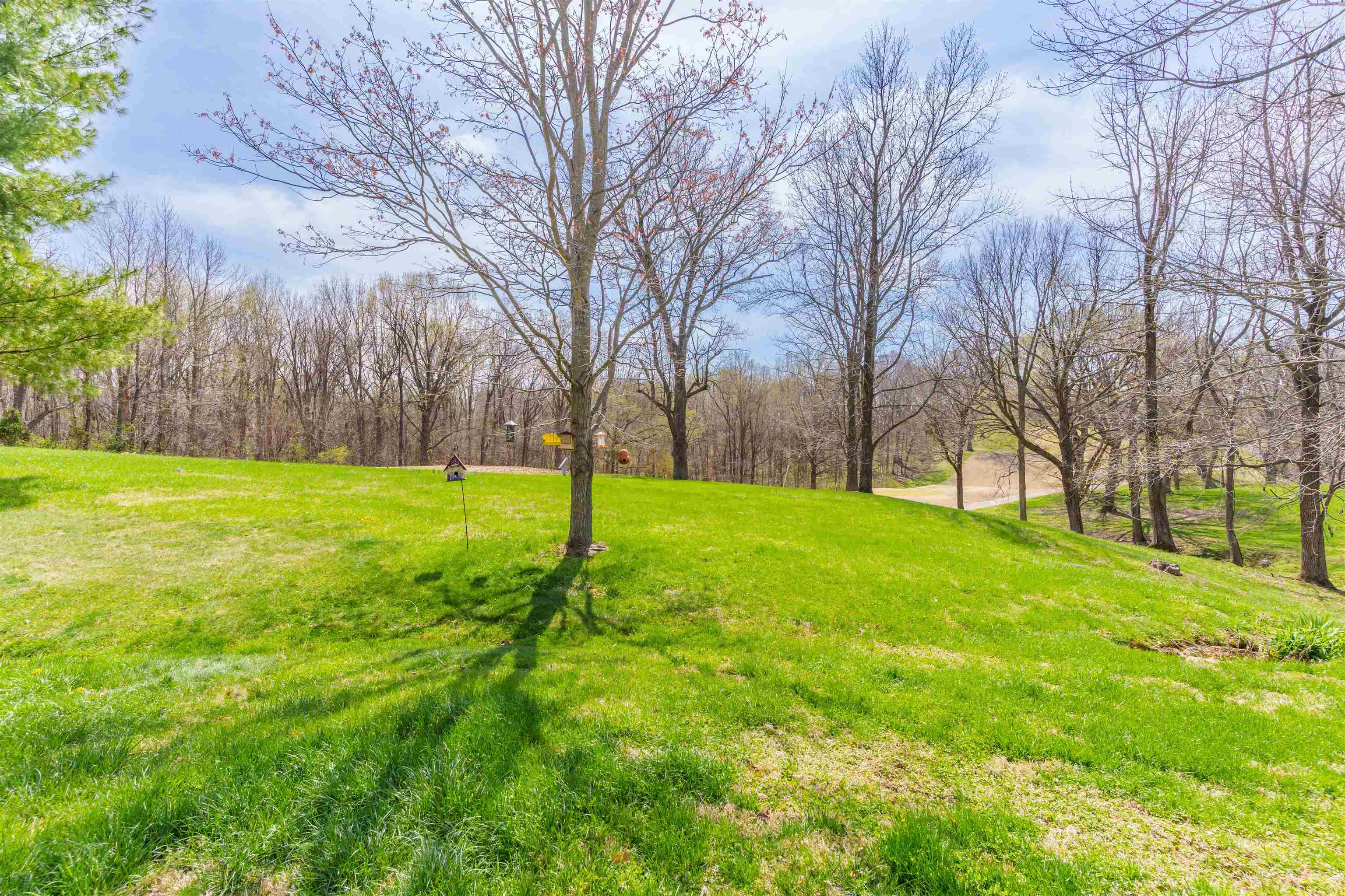 6554 Waterford Place, Owensboro, Kentucky 42303, 3 Bedrooms Bedrooms, ,2 BathroomsBathrooms,Single Family Residence,For Sale,Waterford Place,92545