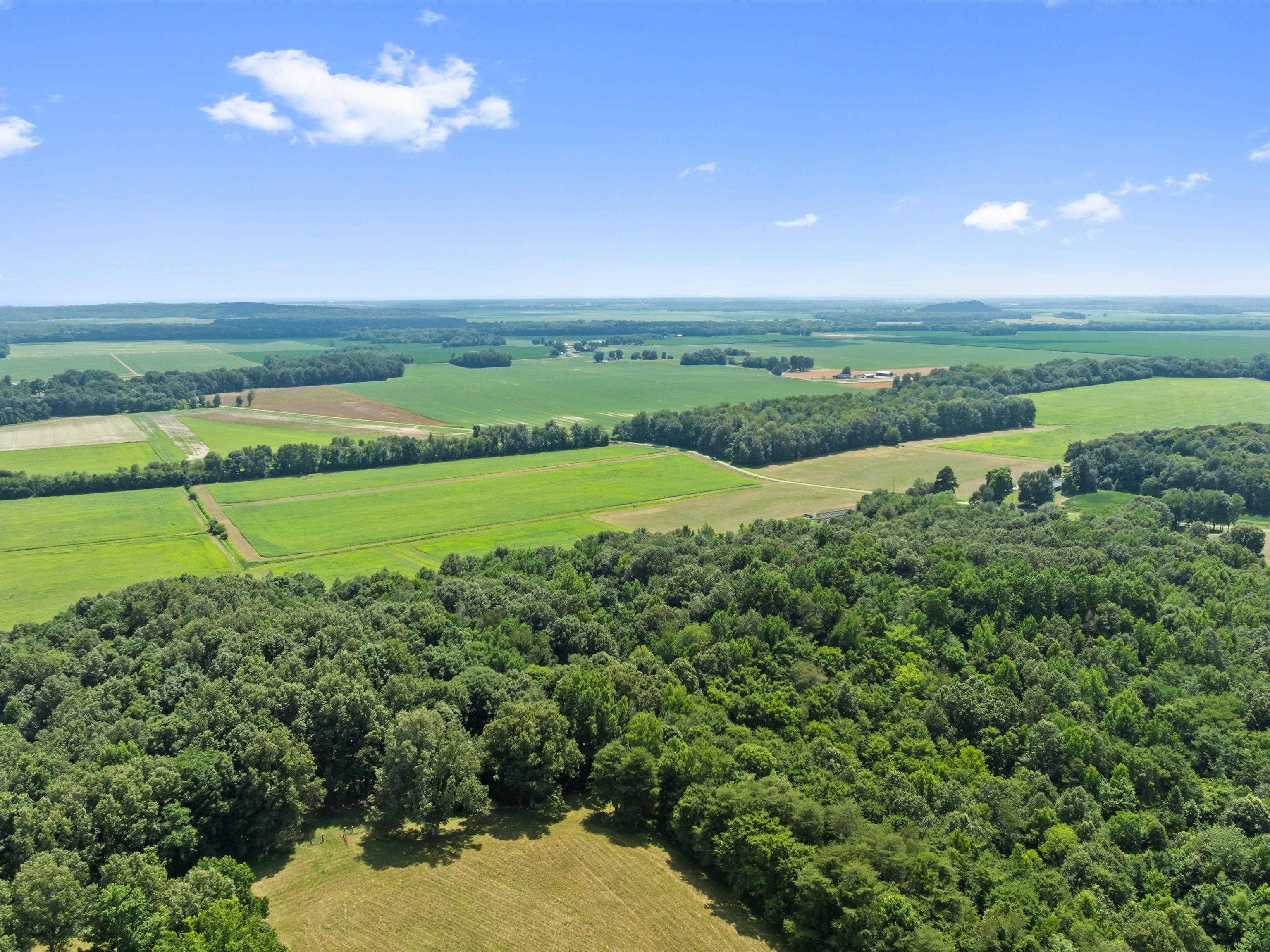 945 Hicks Rd., Livermore, Kentucky 42327, 3 Bedrooms Bedrooms, ,2 BathroomsBathrooms,Manufactured On Land,For Sale,Hicks Rd.,92547