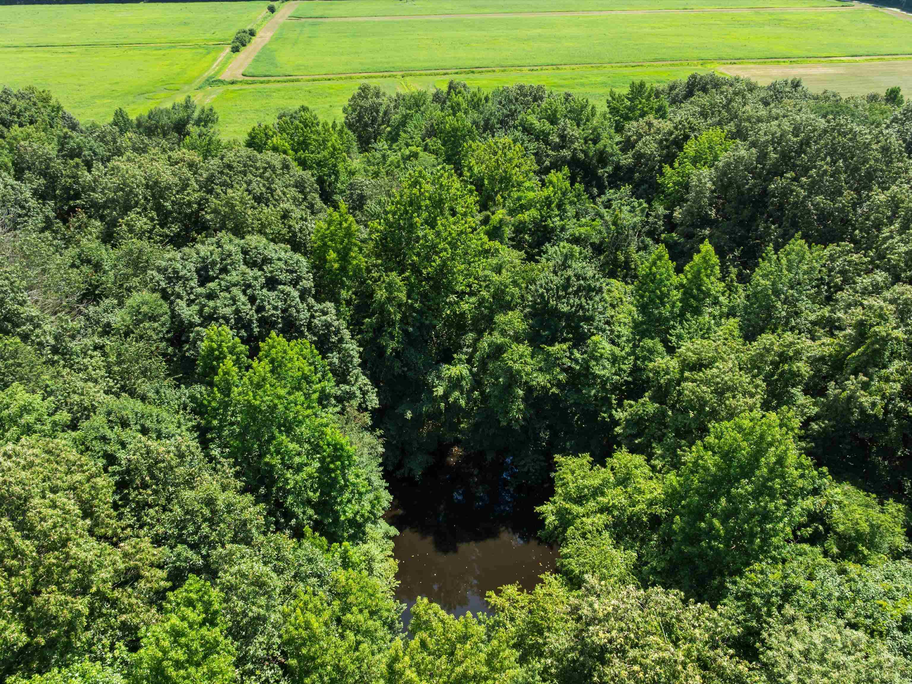 945 Hicks Rd., Livermore, Kentucky 42327, 3 Bedrooms Bedrooms, ,2 BathroomsBathrooms,Manufactured On Land,For Sale,Hicks Rd.,92547