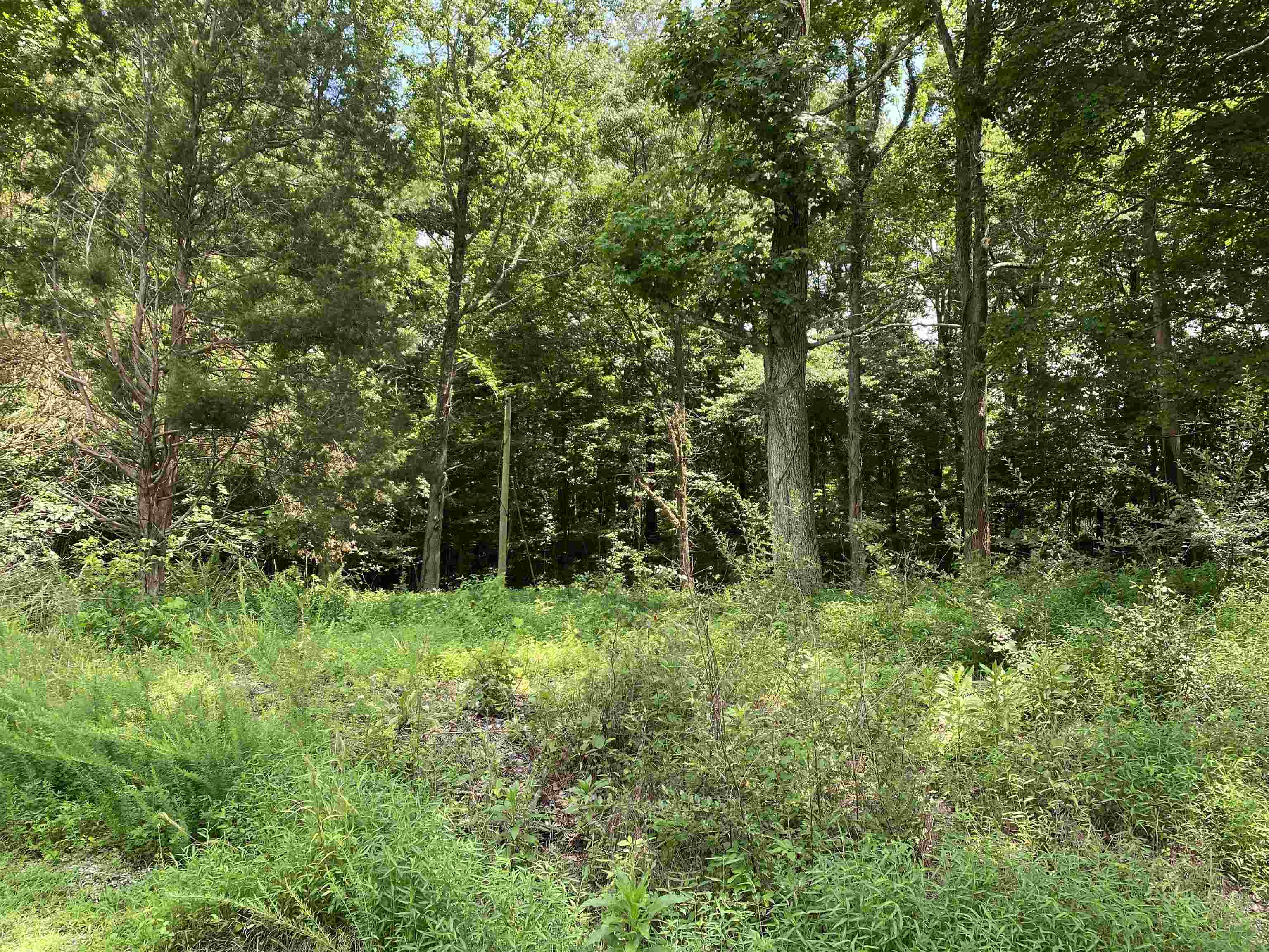 425 Rich Circle, Cadiz, Kentucky 42211, ,Land,For Sale,Rich Circle,92567