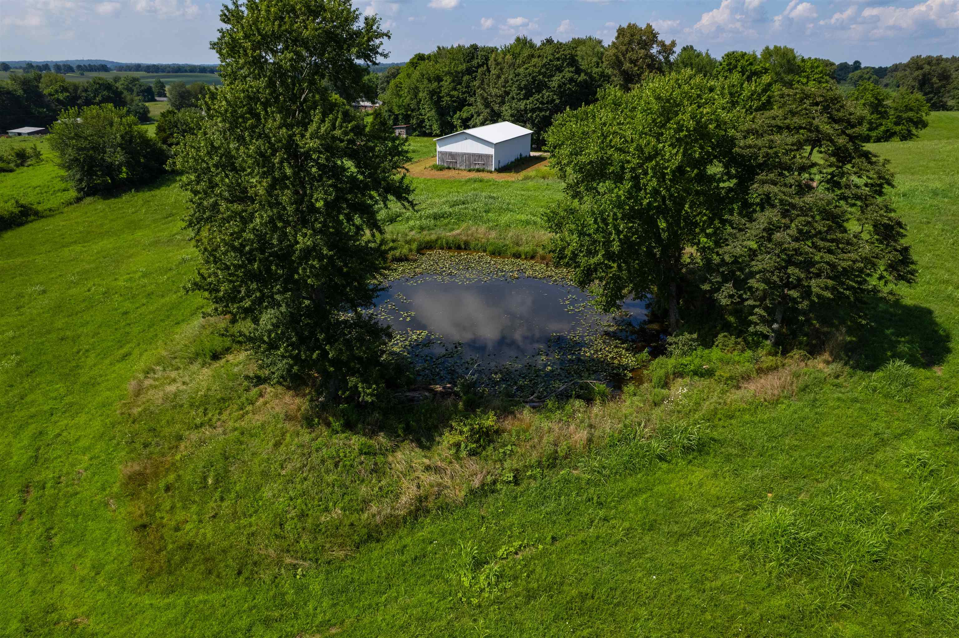 5900 B Ditto Rd, Philpot, Kentucky 42366, ,Land,For Sale,Ditto Rd,92646