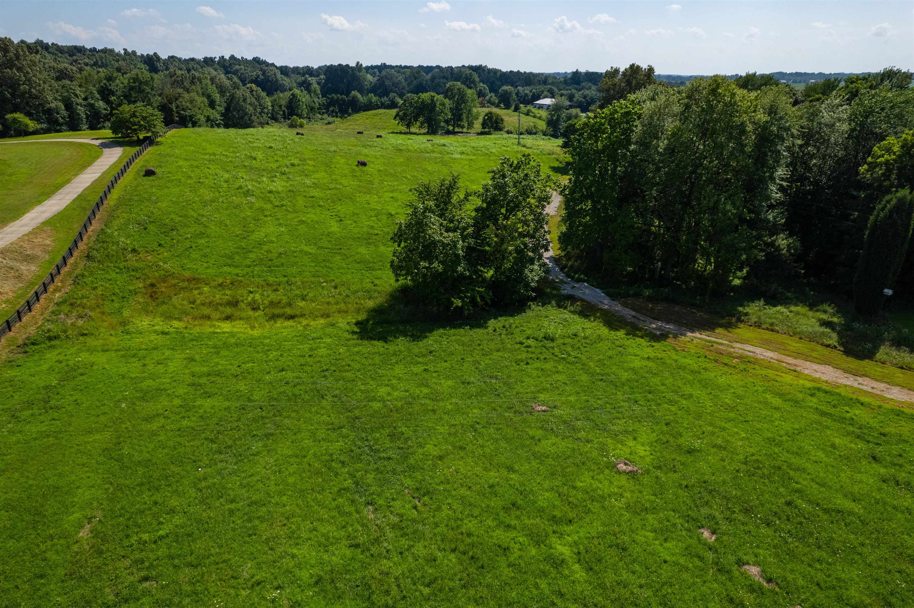 5900 B Ditto Rd, Philpot, Kentucky 42366, ,Land,For Sale,Ditto Rd,92646
