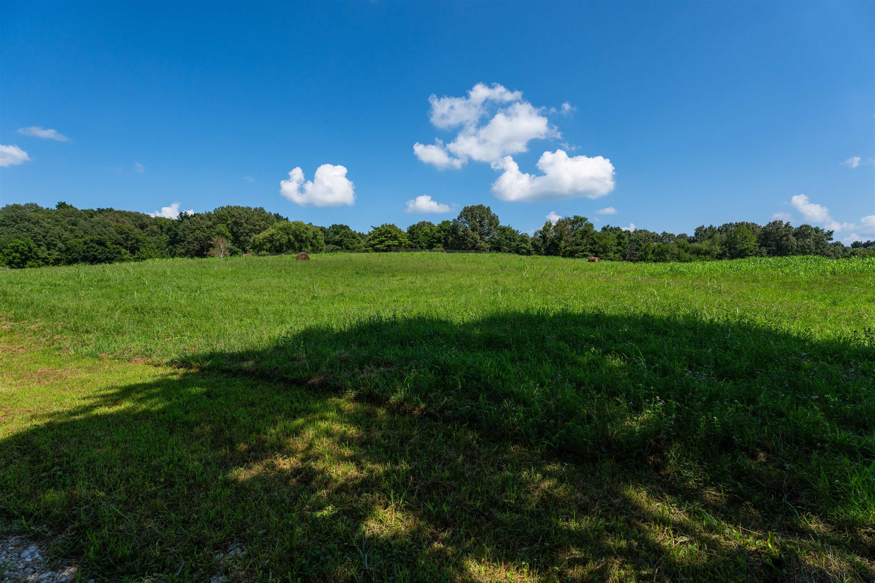 5900 B Ditto Rd, Philpot, Kentucky 42366, ,Land,For Sale,Ditto Rd,92646
