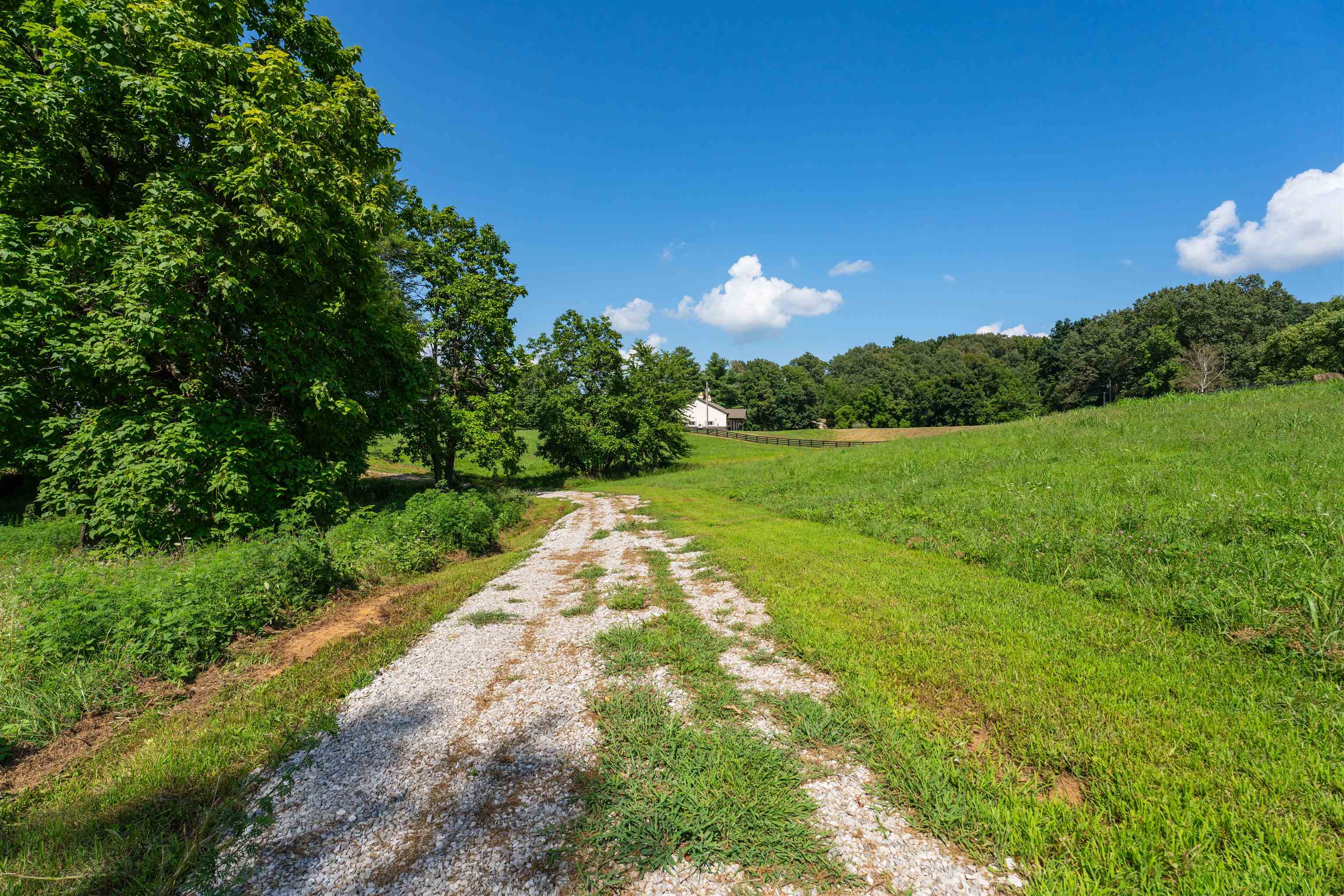 5900 B Ditto Rd, Philpot, Kentucky 42366, ,Land,For Sale,Ditto Rd,92646