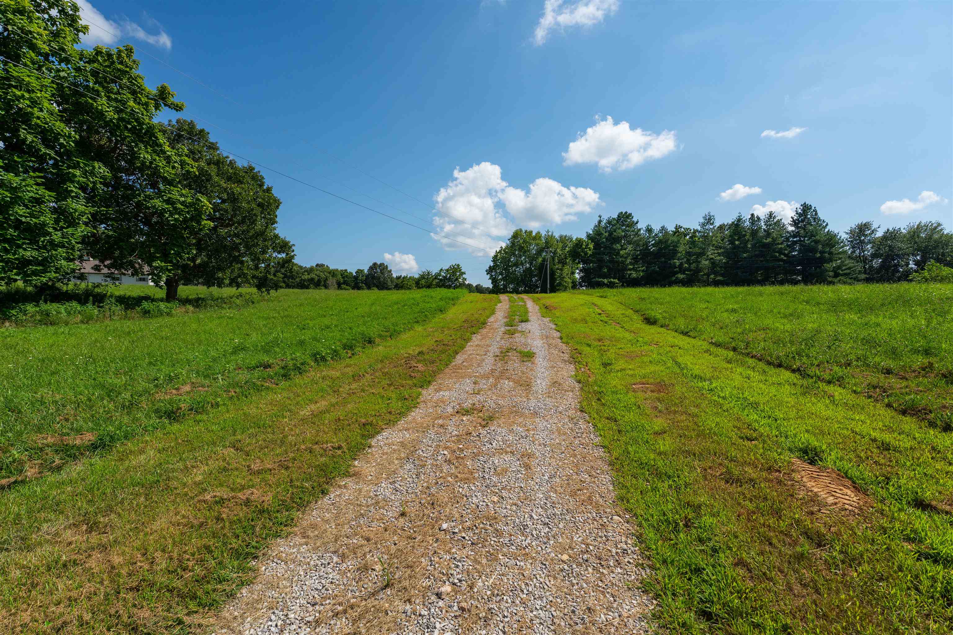 5900 B Ditto Rd, Philpot, Kentucky 42366, ,Land,For Sale,Ditto Rd,92646