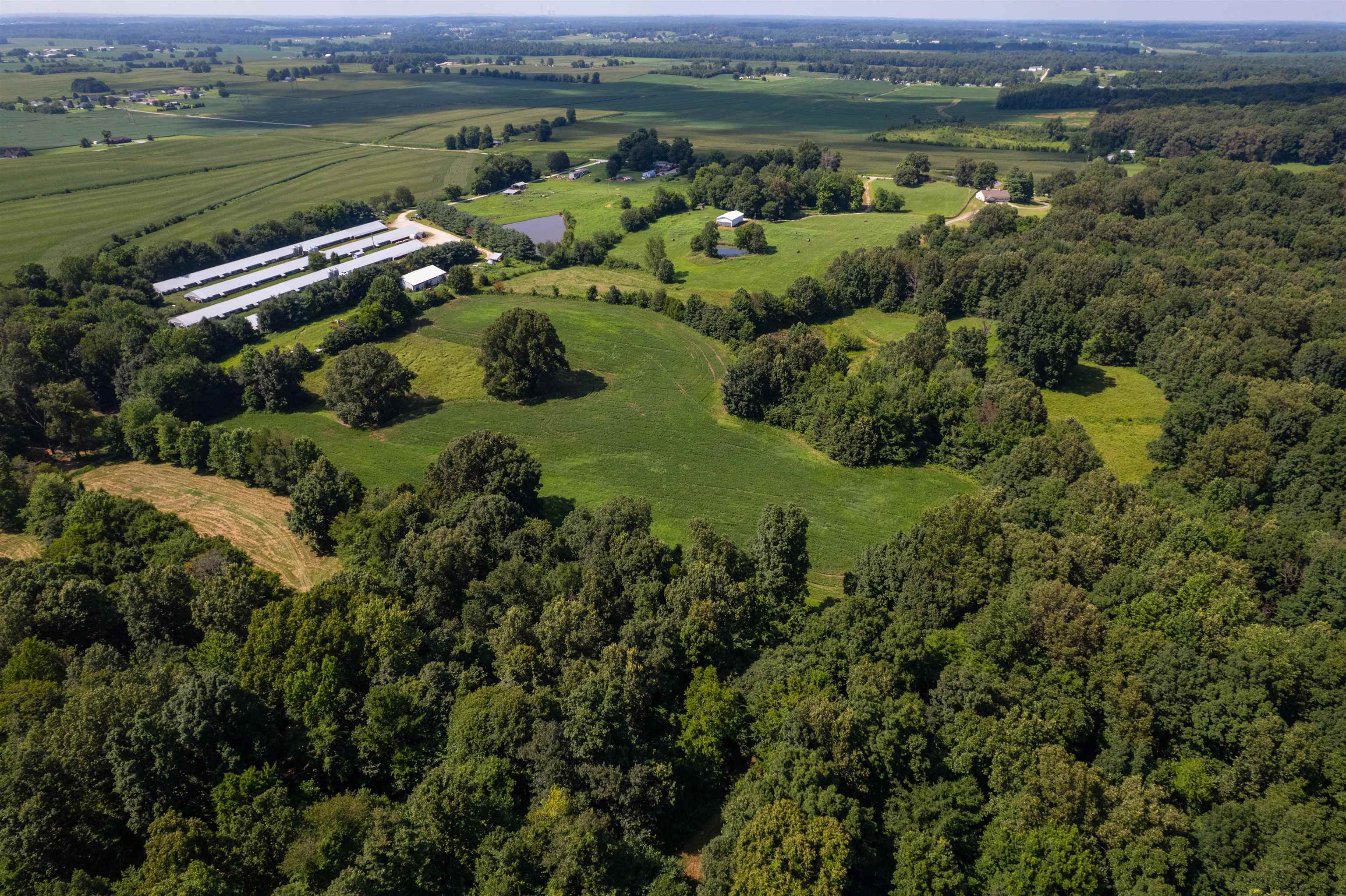 5900 B Ditto Rd, Philpot, Kentucky 42366, ,Land,For Sale,Ditto Rd,92646