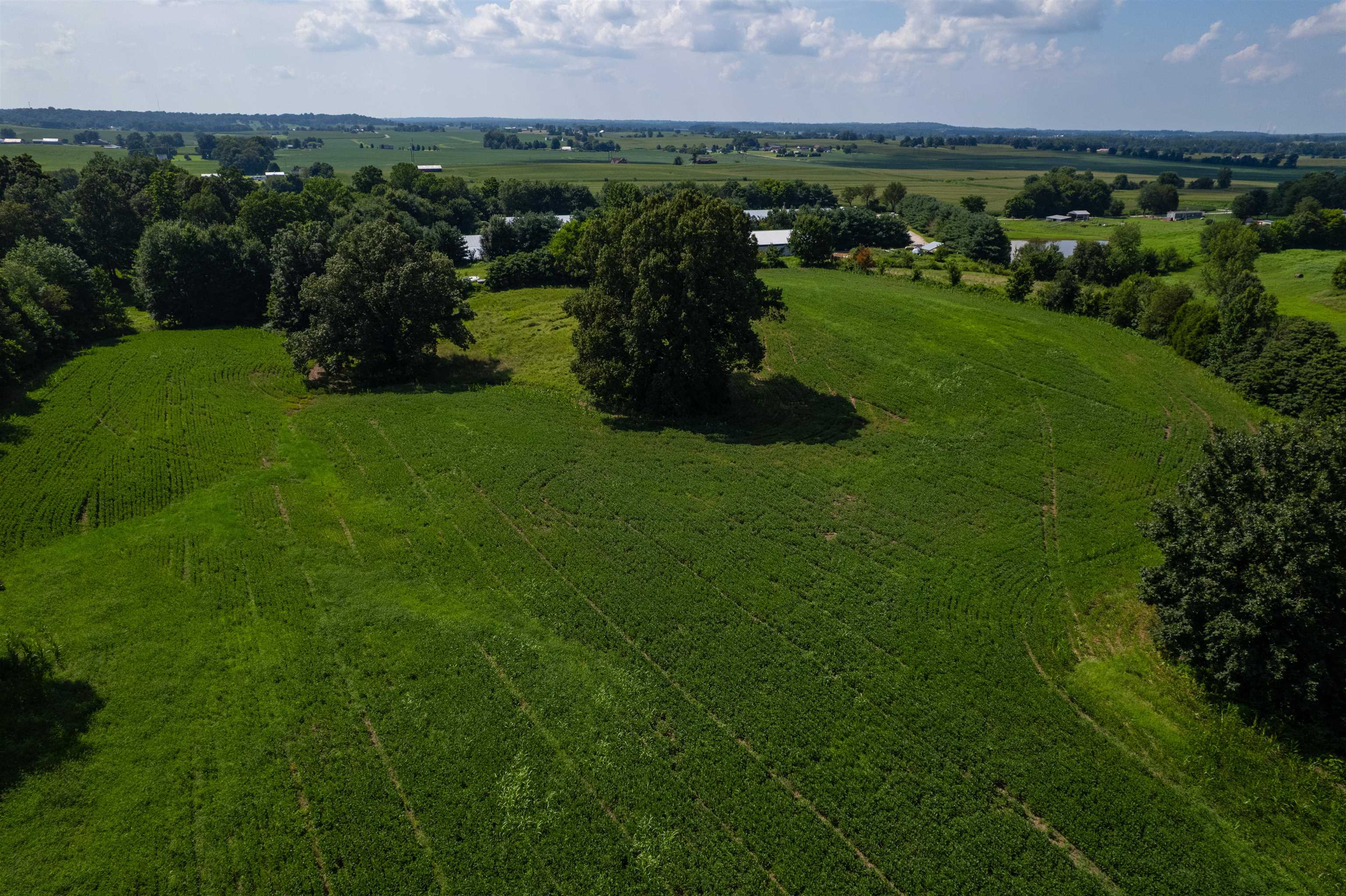 5900 B Ditto Rd, Philpot, Kentucky 42366, ,Land,For Sale,Ditto Rd,92646