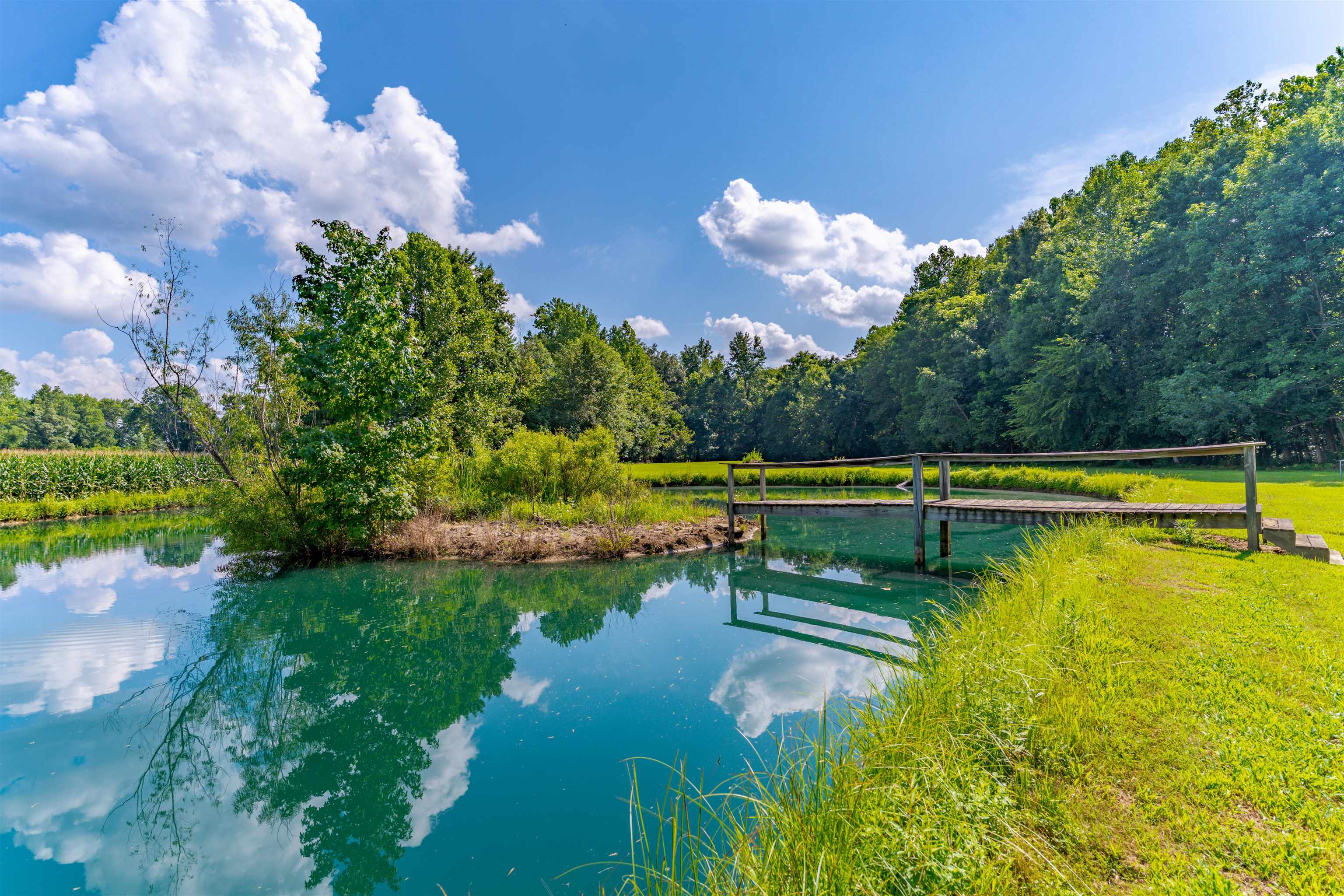 7128 Powell Tapp Road, Corydon, Kentucky 42406, 3 Bedrooms Bedrooms, ,1 BathroomBathrooms,Single Family Residence,For Sale,Powell Tapp Road,92675