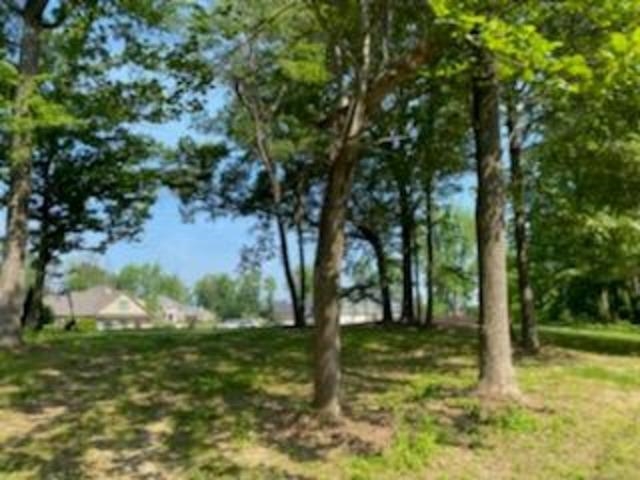 3195 Bridgewater Cove, Owensboro, Kentucky 42303, ,Land,For Sale,Bridgewater Cove,92677
