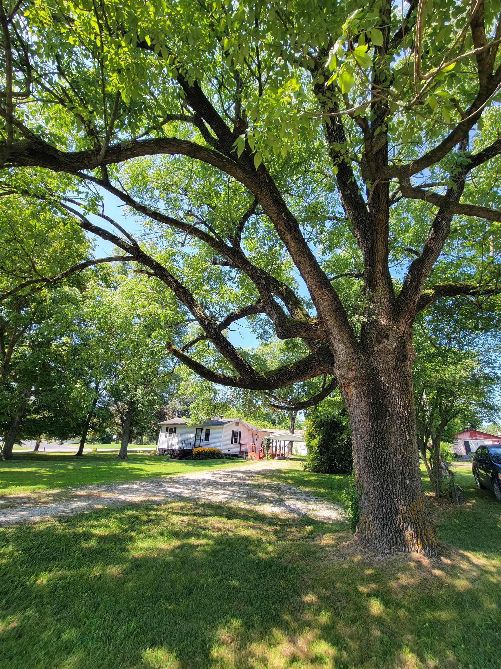 106 School Street, Livermore, Kentucky 42352, 3 Bedrooms Bedrooms, ,2 BathroomsBathrooms,Single Family Residence,For Sale,School Street,92684