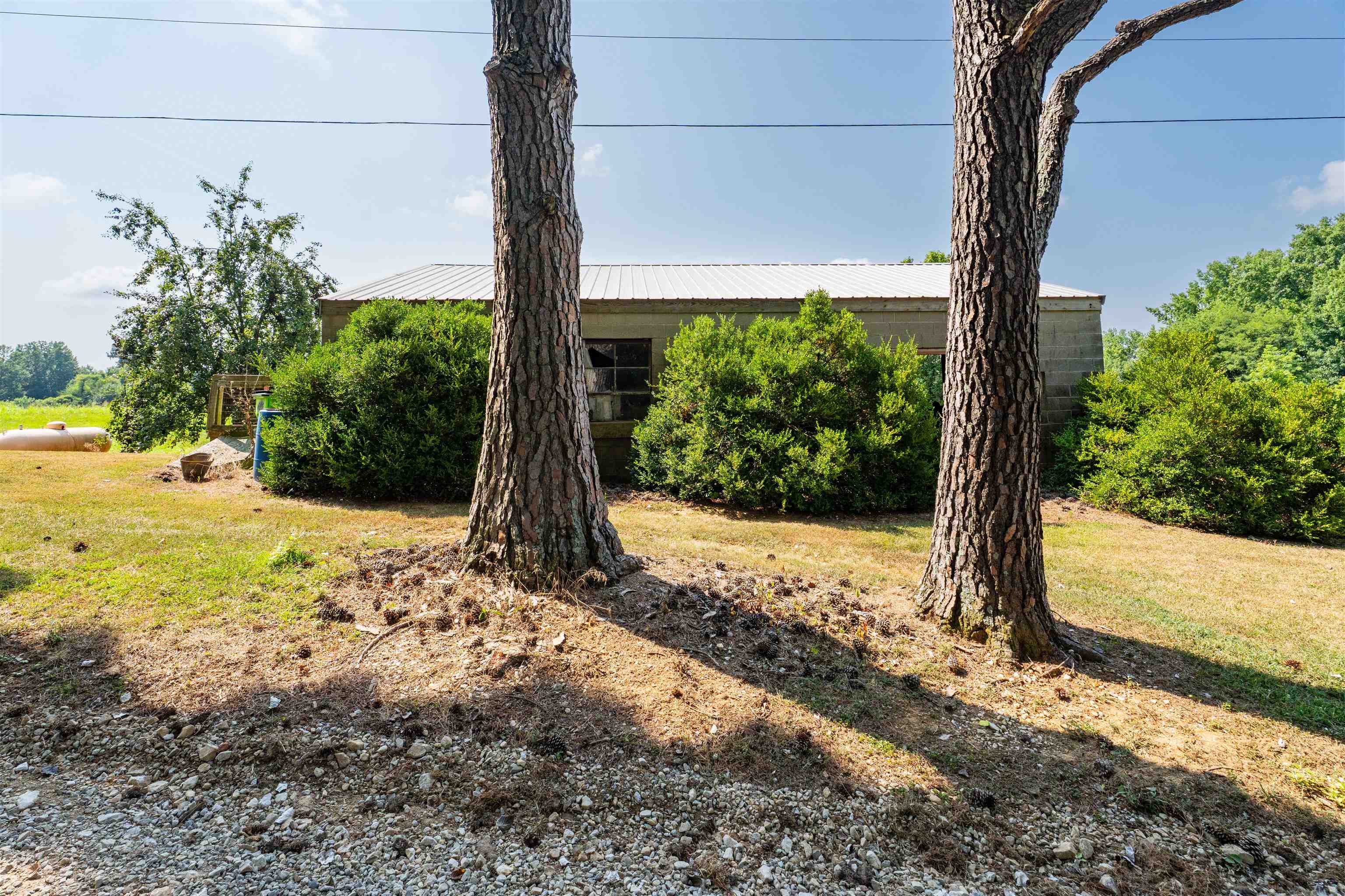 4880 KY 554, Utica, Kentucky 42376, 3 Bedrooms Bedrooms, ,2 BathroomsBathrooms,Farm,For Sale,KY 554,92704