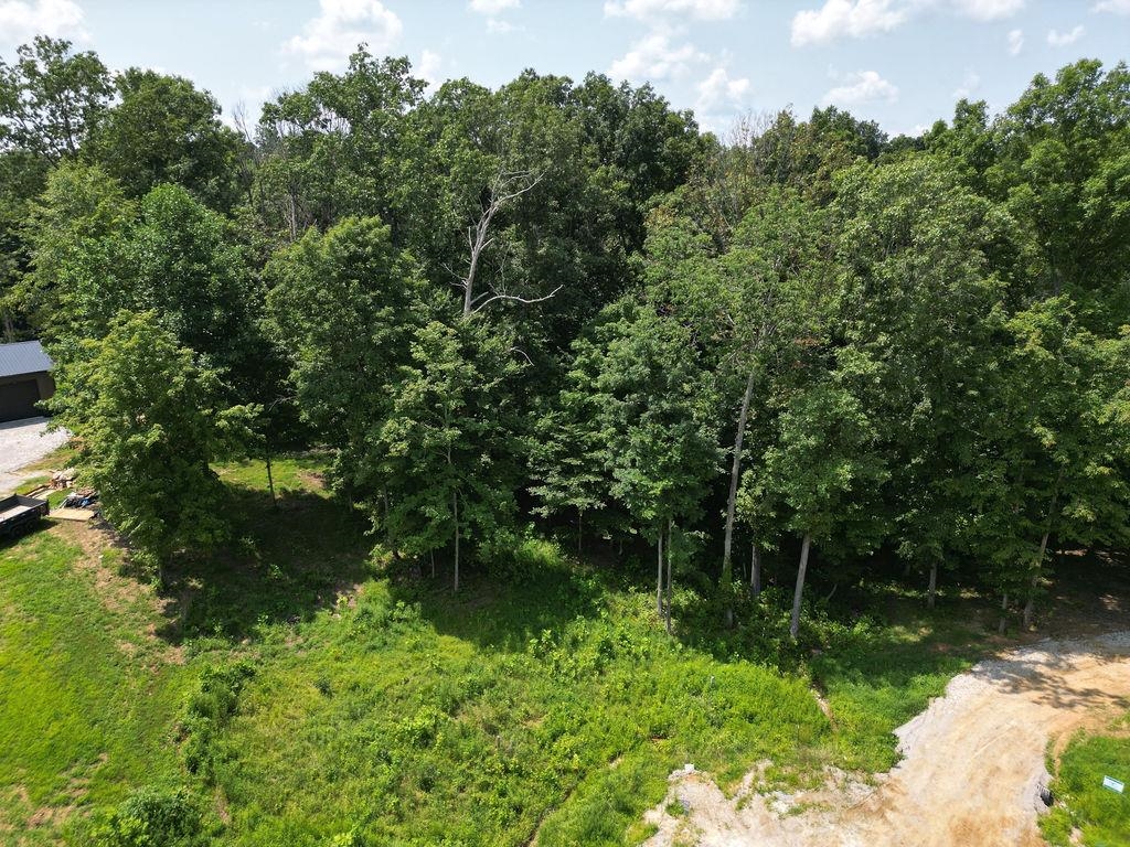 Lot 91 Odessa Dr, Utica, Kentucky 42376, ,Land,For Sale,Odessa Dr,92708