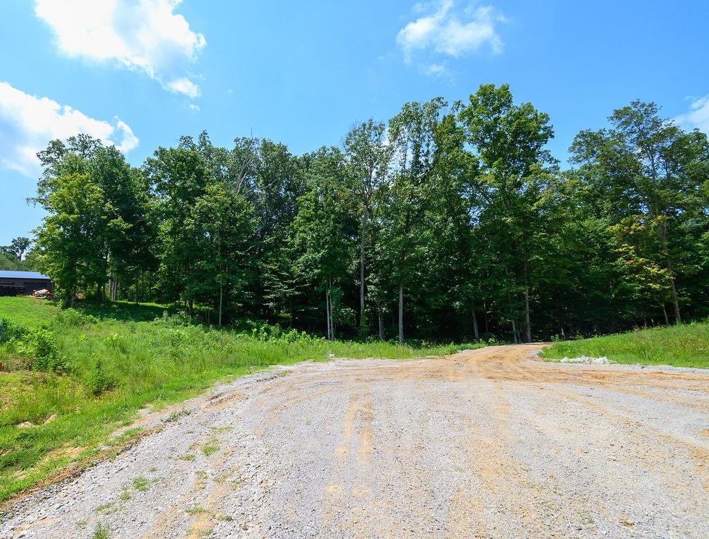 Lot 91 Odessa Dr, Utica, Kentucky 42376, ,Land,For Sale,Odessa Dr,92708