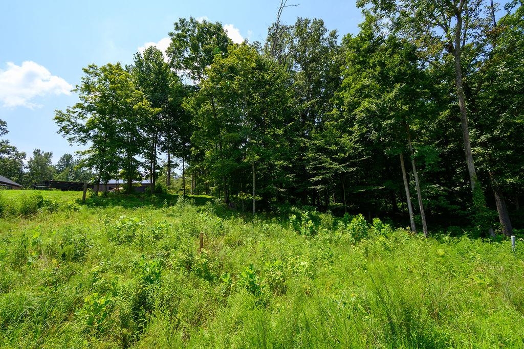 Lot 91 Odessa Dr, Utica, Kentucky 42376, ,Land,For Sale,Odessa Dr,92708