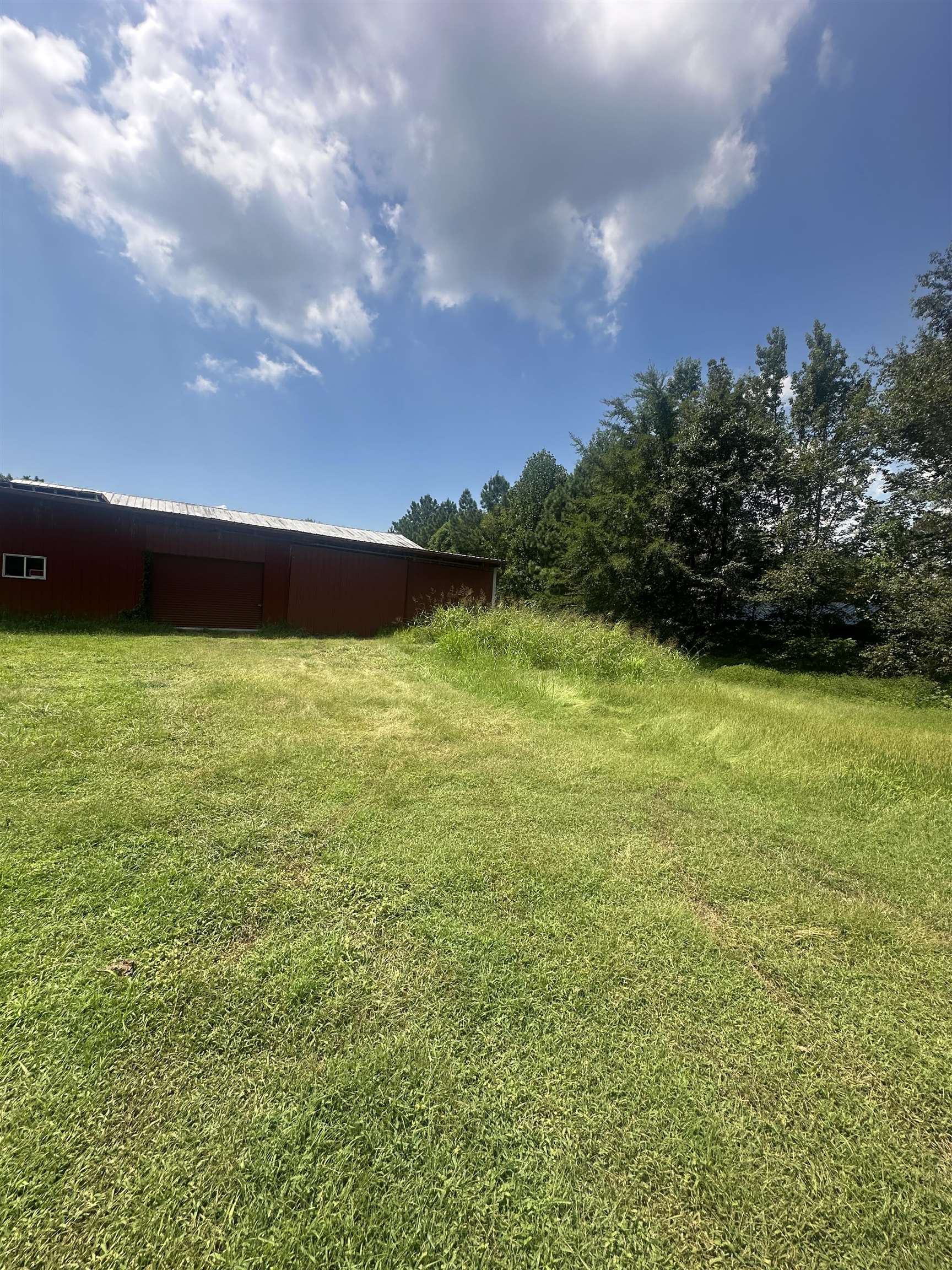 577 Stinson Loop, Hartford, Kentucky 42347, ,Land,For Sale,Stinson Loop,92715