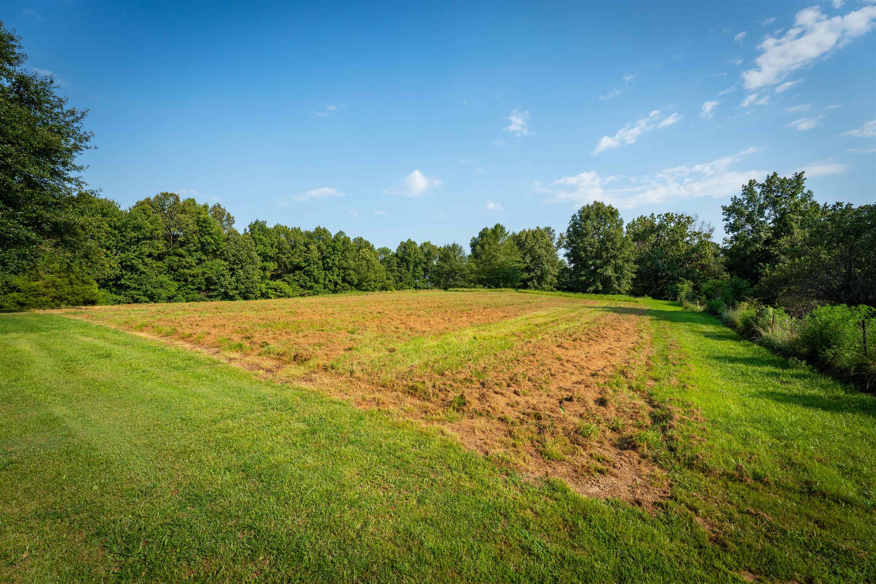 12687 Hwy 231, Utica, Kentucky 42376, 3 Bedrooms Bedrooms, ,2 BathroomsBathrooms,Single Family Residence,For Sale,Hwy 231,92729
