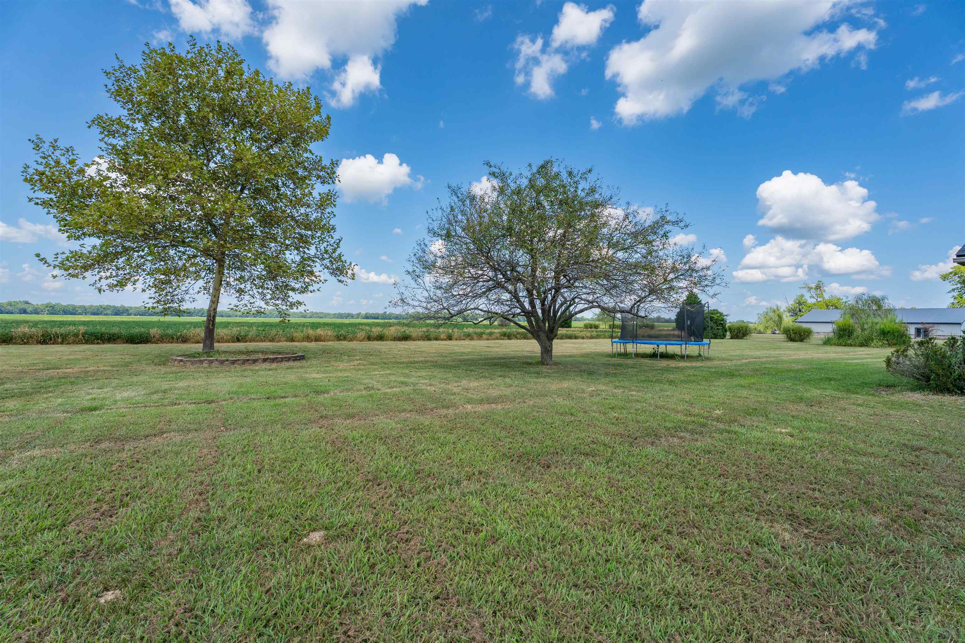 6250 KY HWY 81, Owensboro, Kentucky 42301, 3 Bedrooms Bedrooms, ,2 BathroomsBathrooms,Single Family Residence,For Sale,KY HWY 81,92789