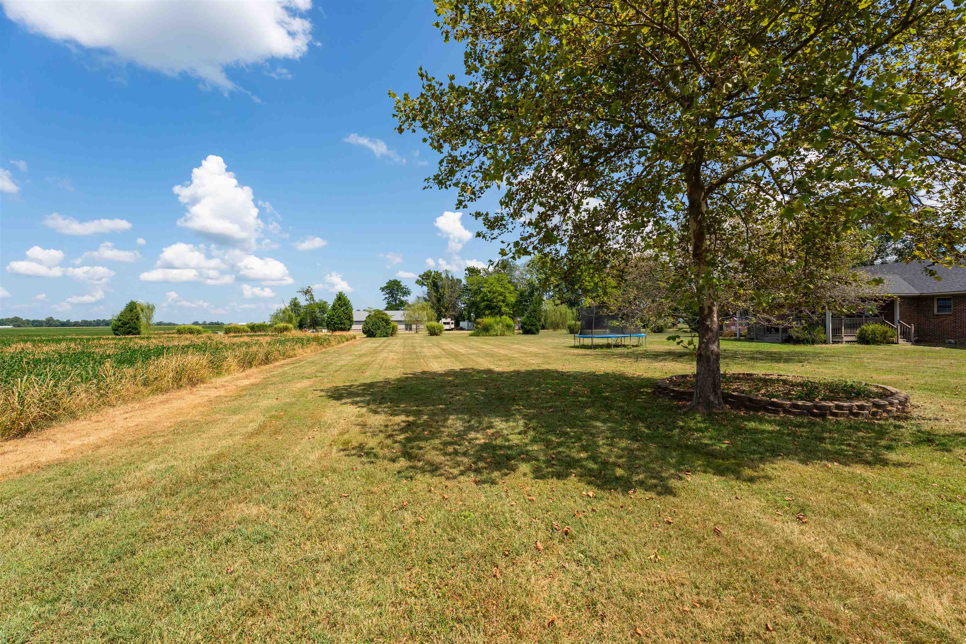 6250 KY HWY 81, Owensboro, Kentucky 42301, 3 Bedrooms Bedrooms, ,2 BathroomsBathrooms,Single Family Residence,For Sale,KY HWY 81,92789