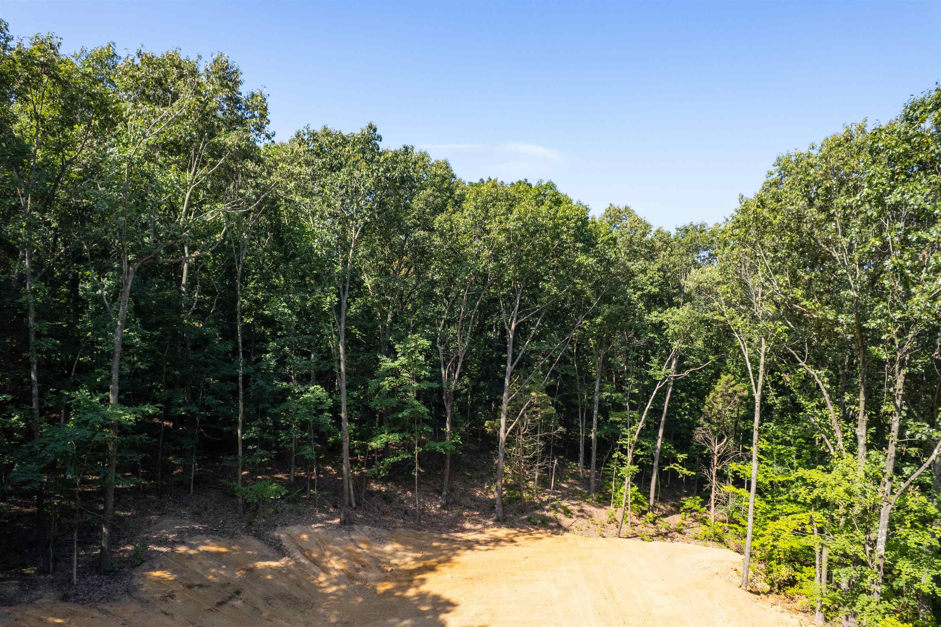 3973 State Route 657, Lewisport, Kentucky 42351, ,Land,For Sale,State Route 657,92824