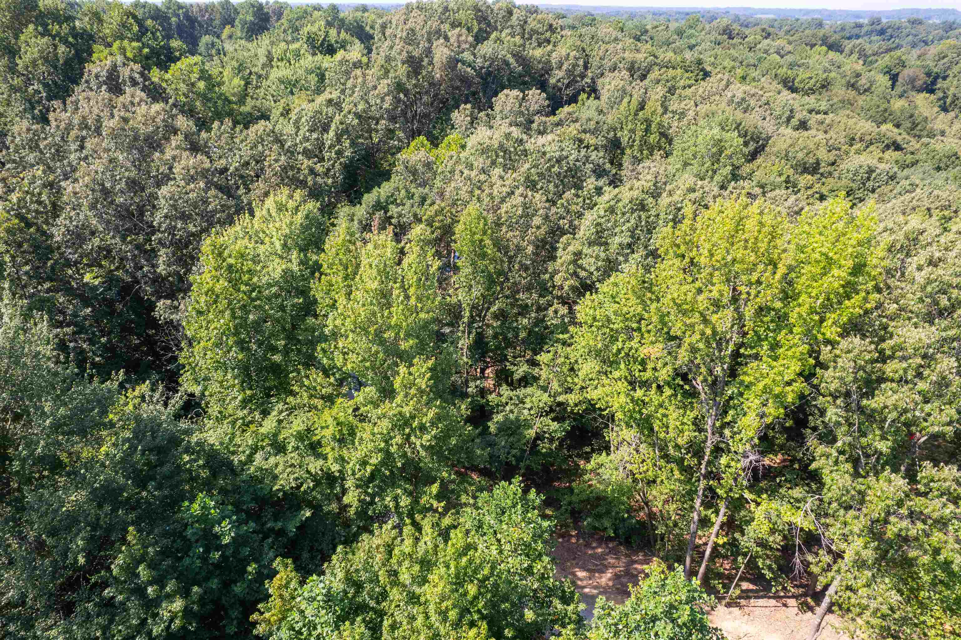3973 State Route 657, Lewisport, Kentucky 42351, ,Land,For Sale,State Route 657,92824
