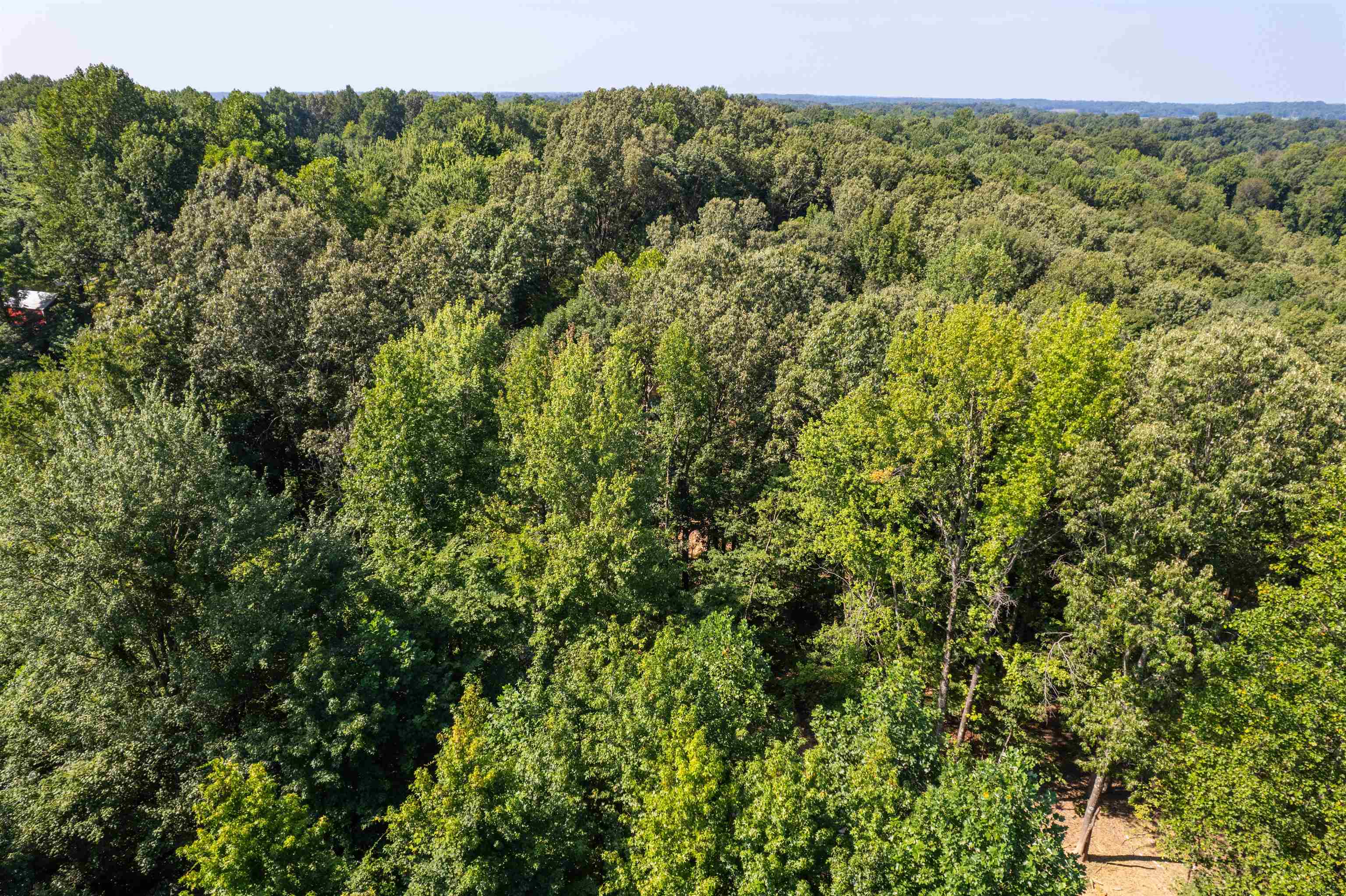 3973 State Route 657, Lewisport, Kentucky 42351, ,Land,For Sale,State Route 657,92824