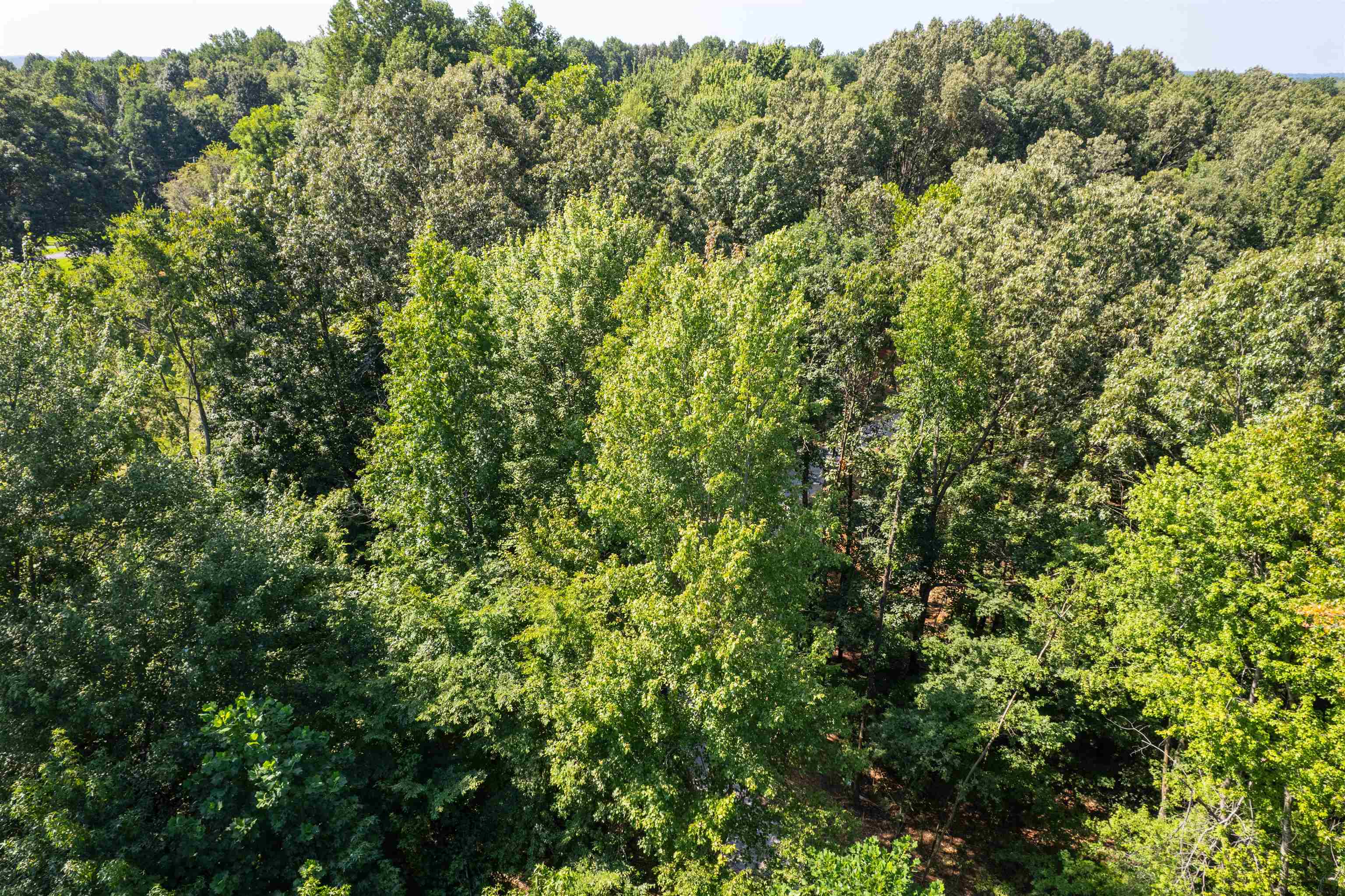 3973 State Route 657, Lewisport, Kentucky 42351, ,Land,For Sale,State Route 657,92824