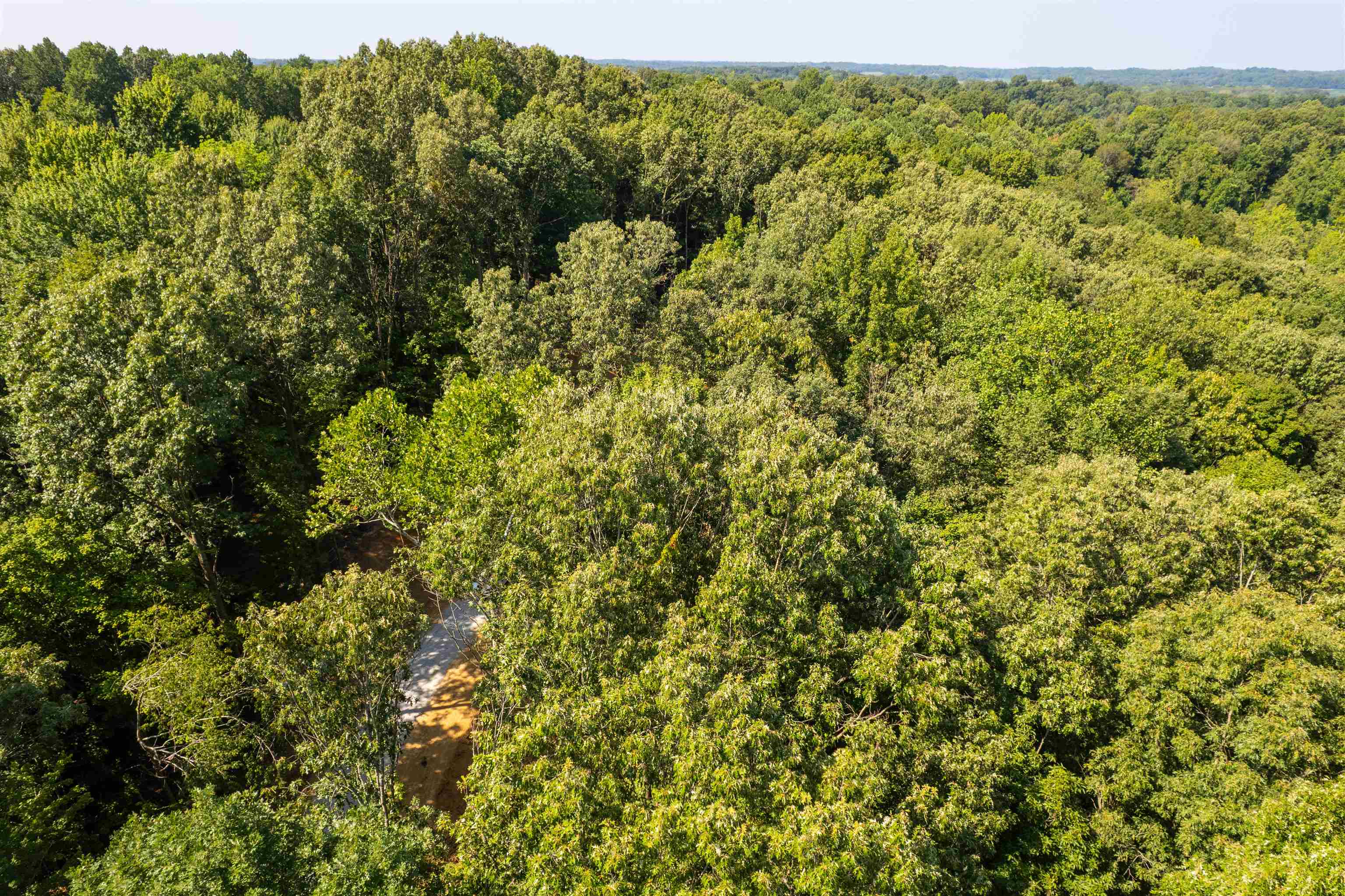 3973 State Route 657, Lewisport, Kentucky 42351, ,Land,For Sale,State Route 657,92824