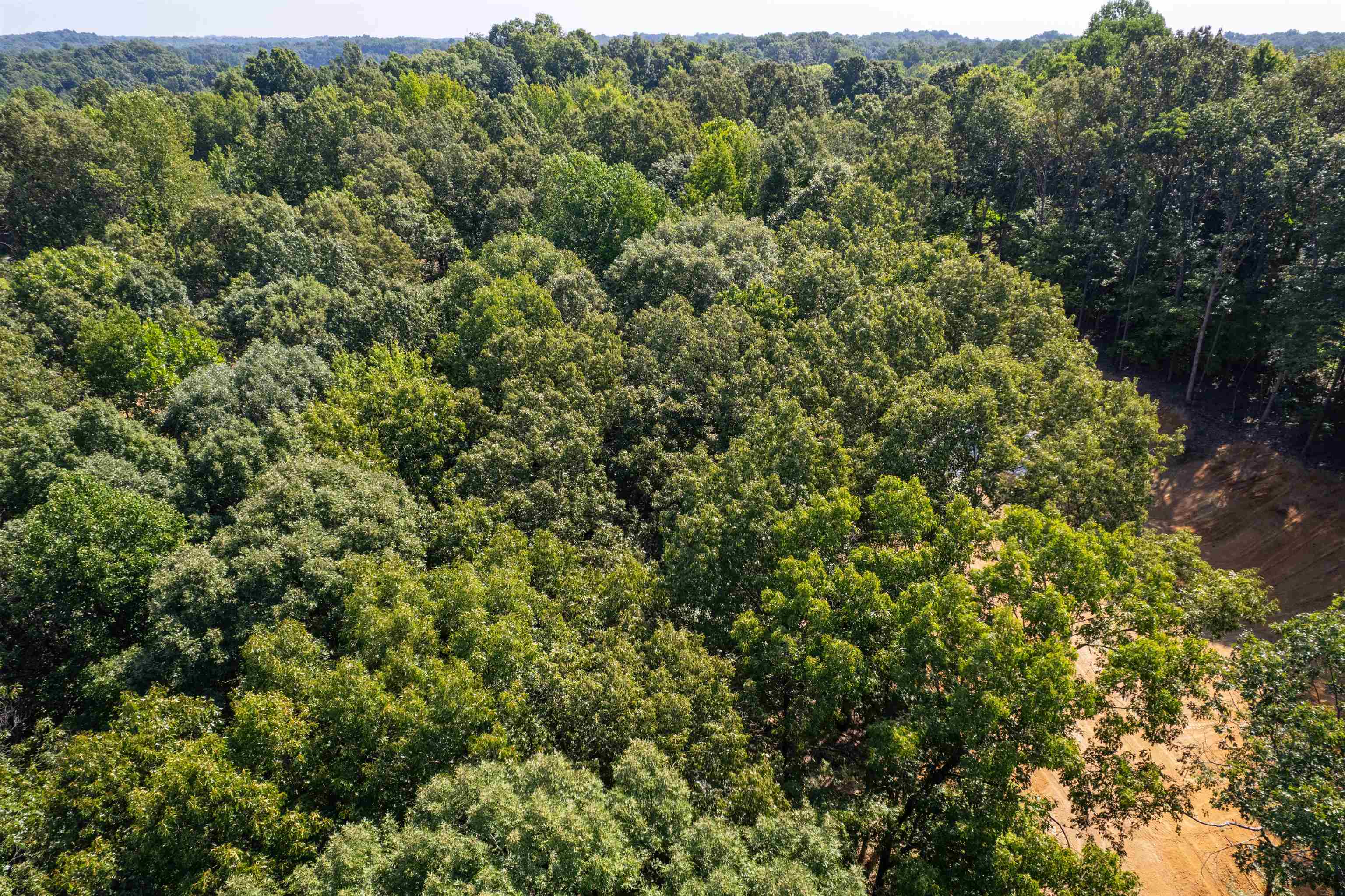 3973 State Route 657, Lewisport, Kentucky 42351, ,Land,For Sale,State Route 657,92824