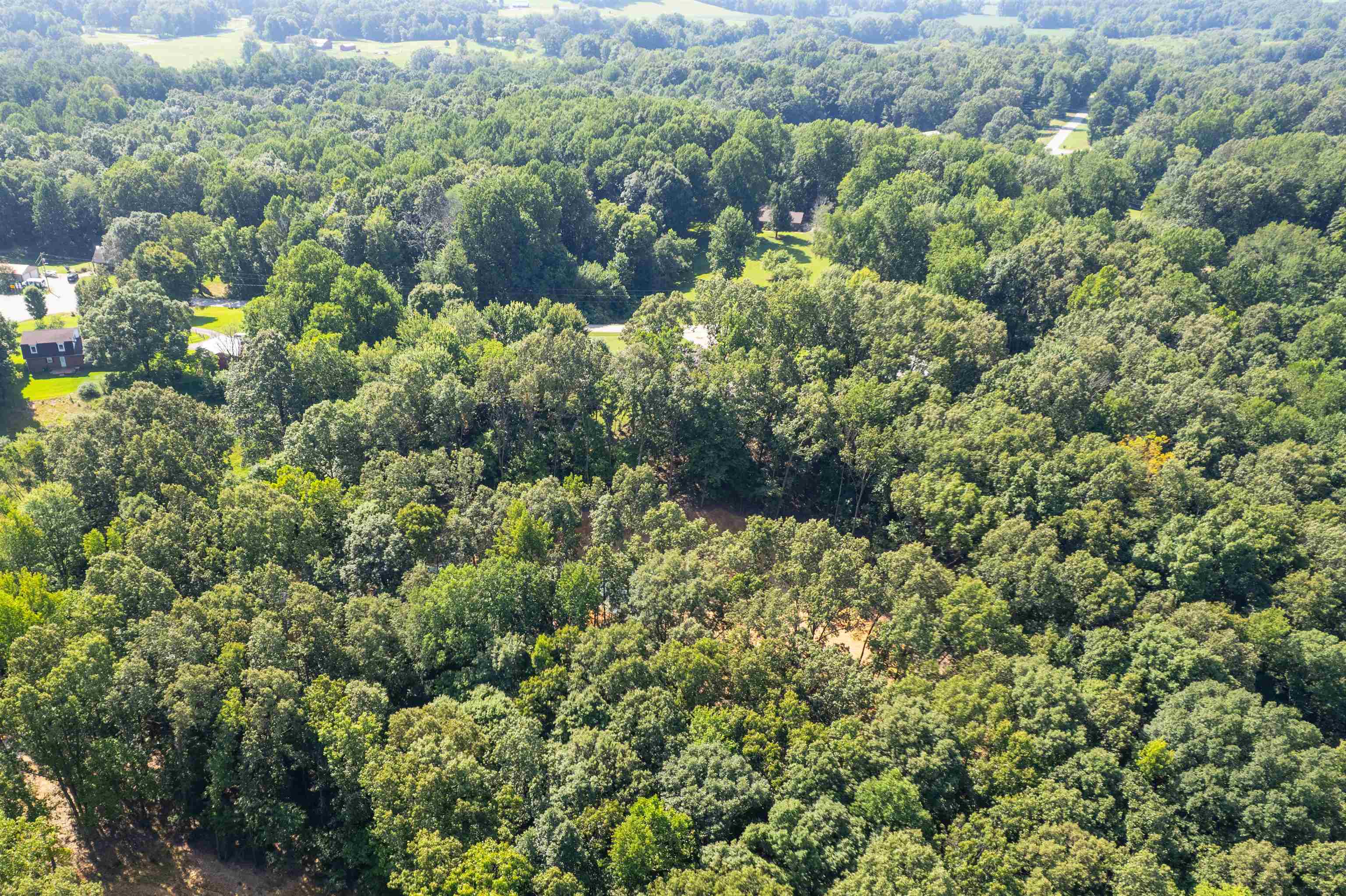 3973 State Route 657, Lewisport, Kentucky 42351, ,Land,For Sale,State Route 657,92824